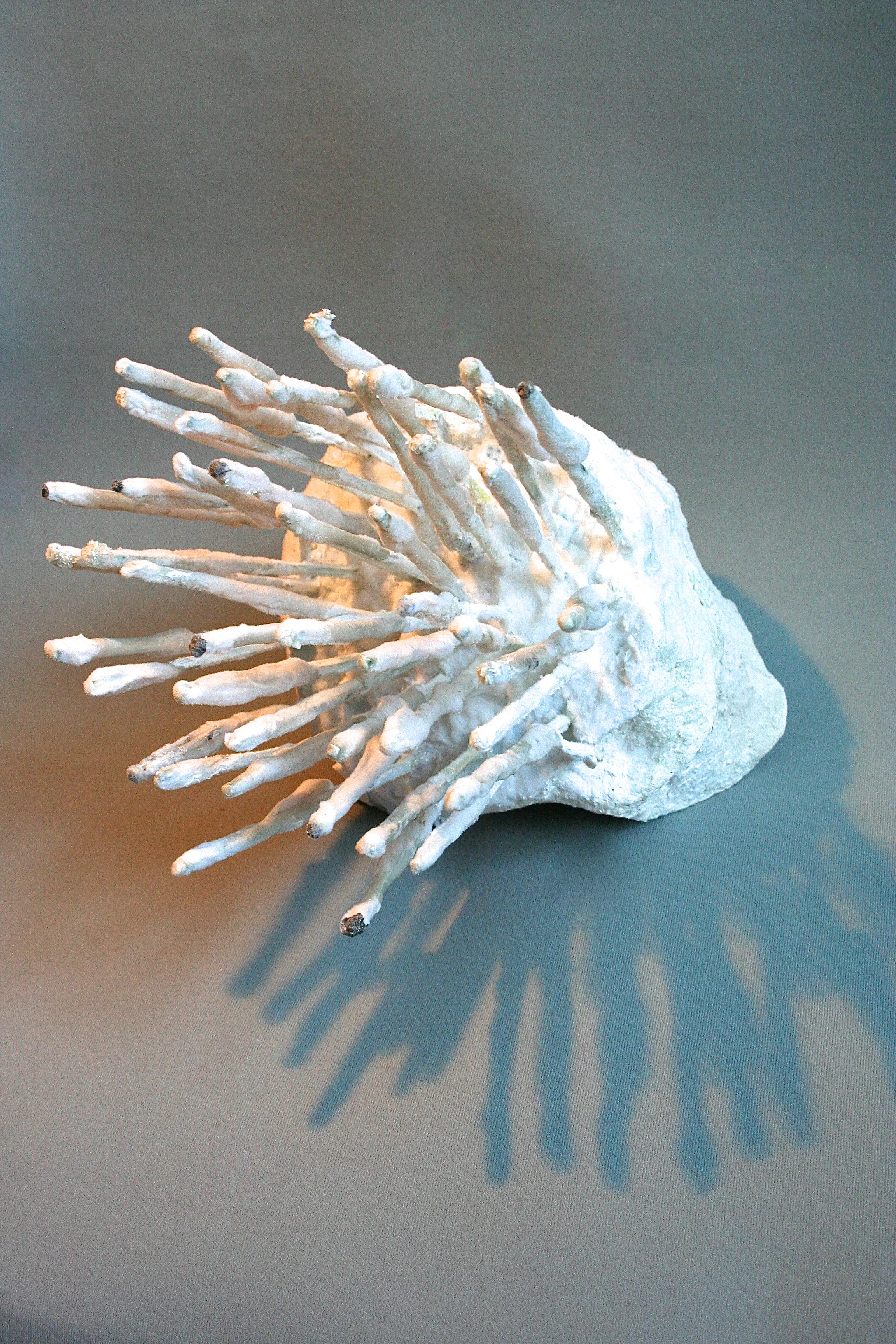Spikey Pokey