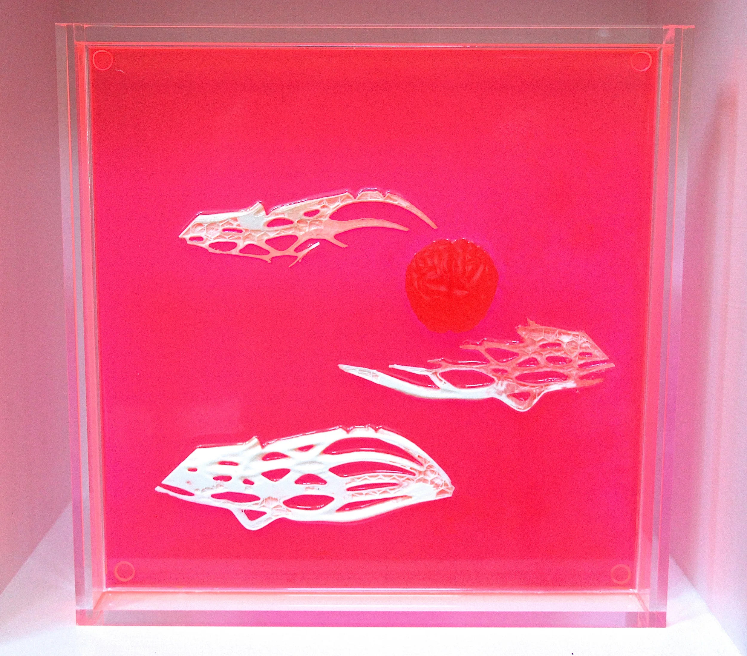 3D printed bone slices, a brain I cast in resin, embedded into dyed resin, in a Lucite shadow box. It changes color depending on the light, where it is placed....so cool! 