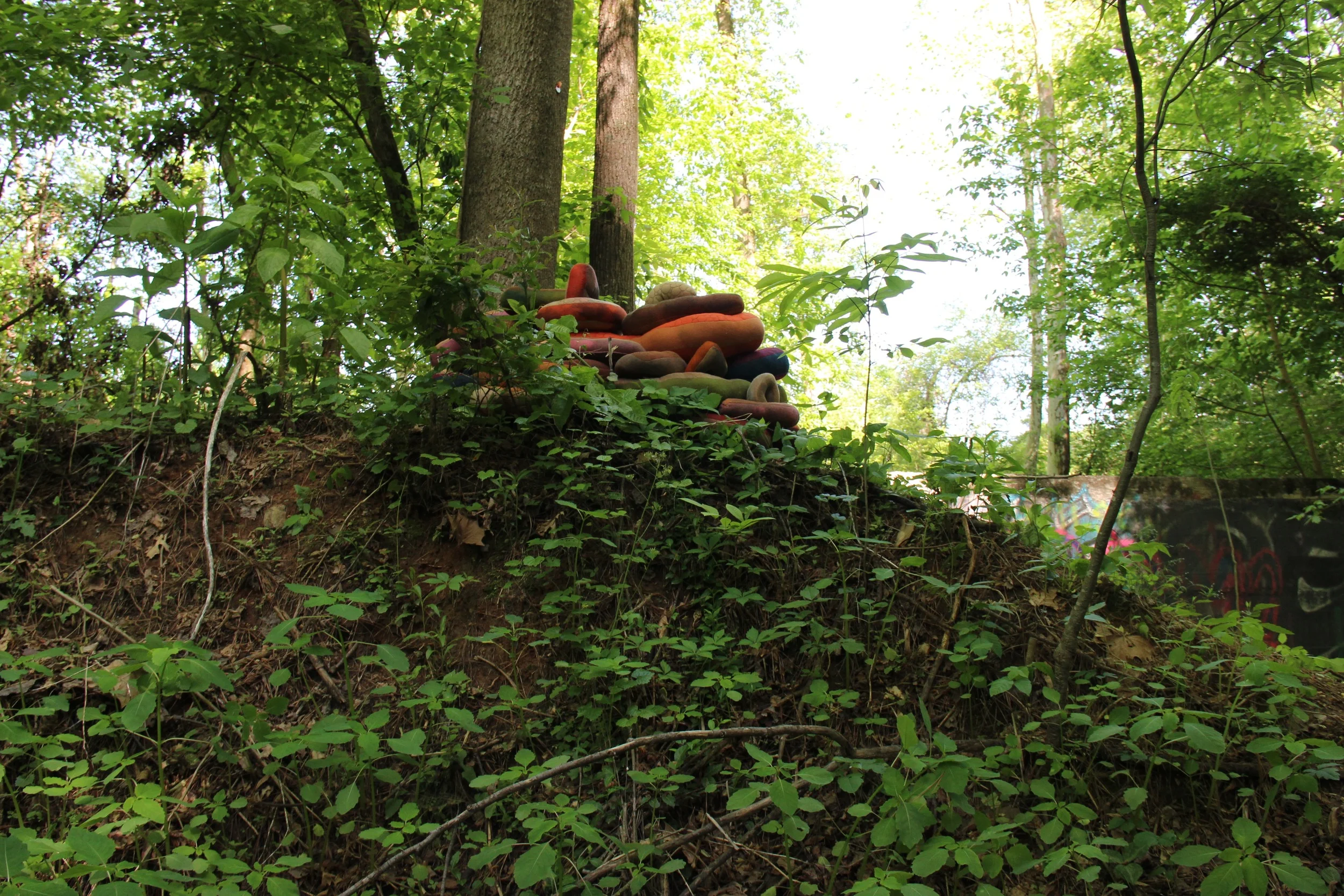 Installed at the Blue Heron Nature Preserve