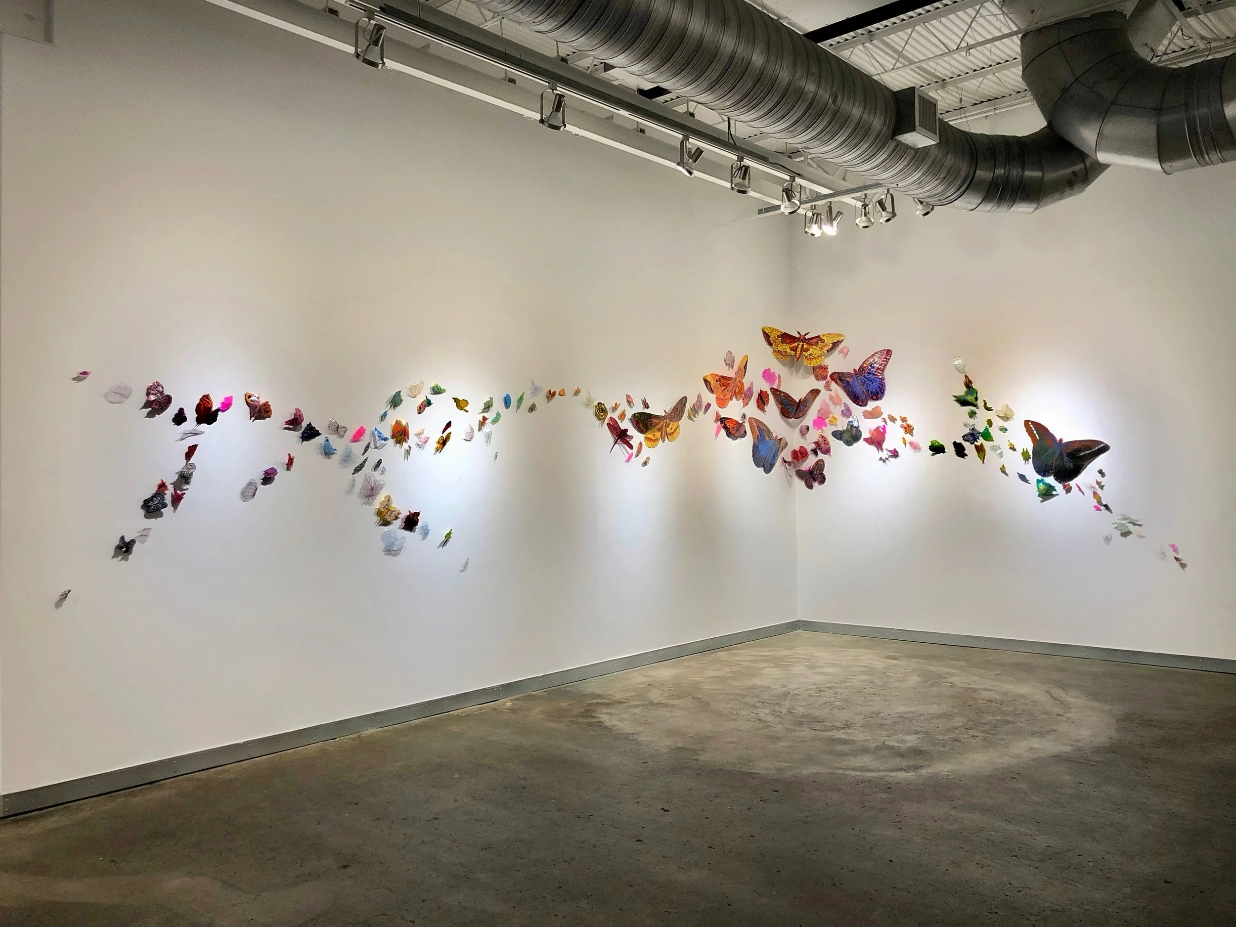 Meanderings and Memories of Butterflies