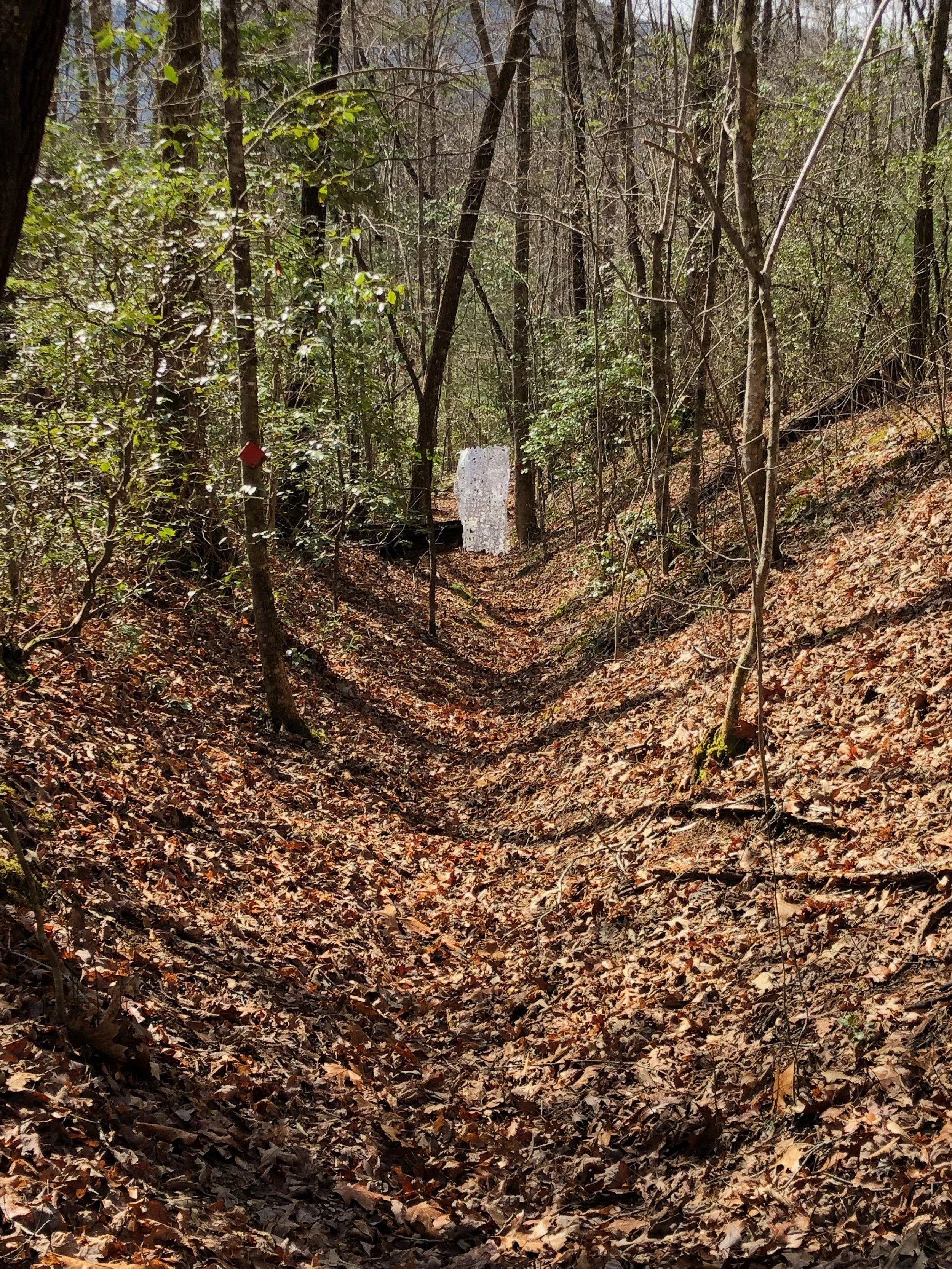 Hambidge installation during residency