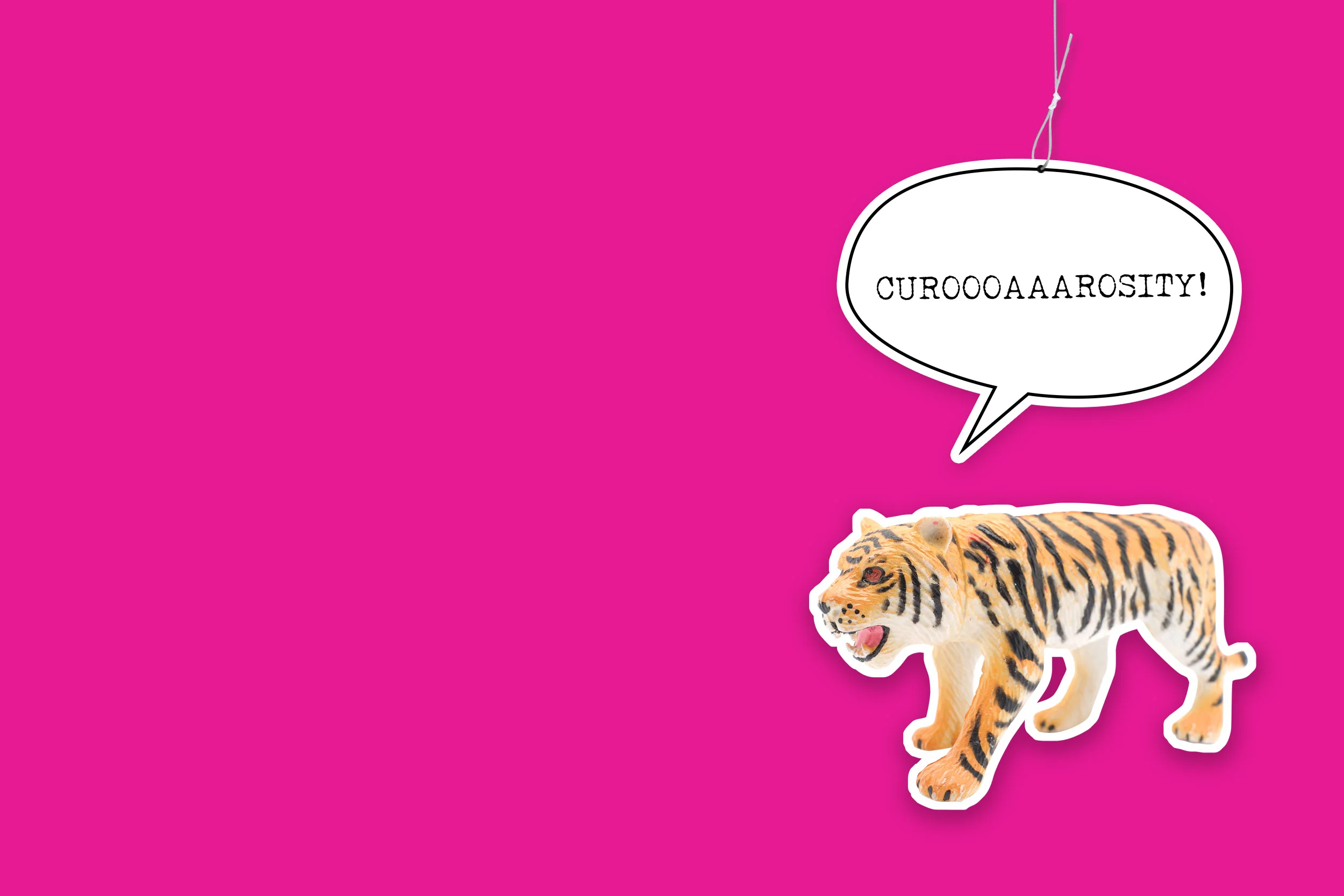 Site Web_FINAL NO TEXT_pink.jpg