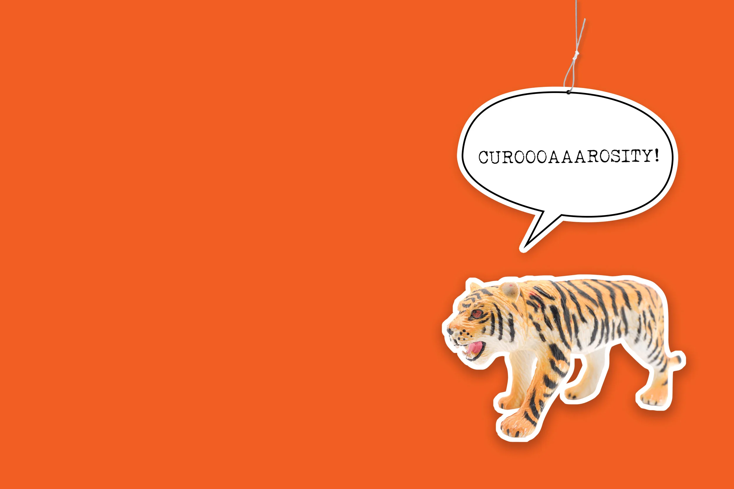 Site Web_FINAL NO TEXT_orange.jpg