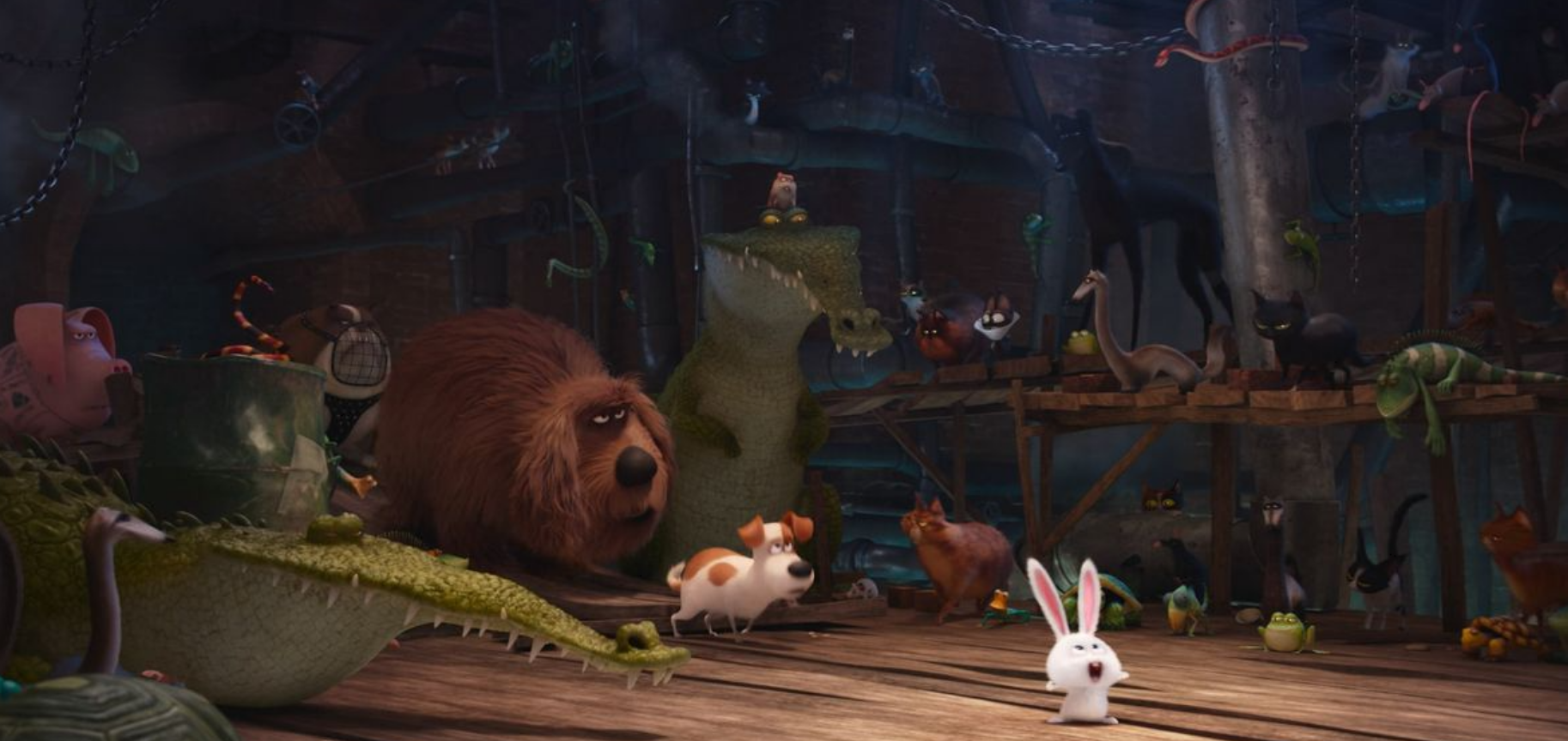 rabbit.png