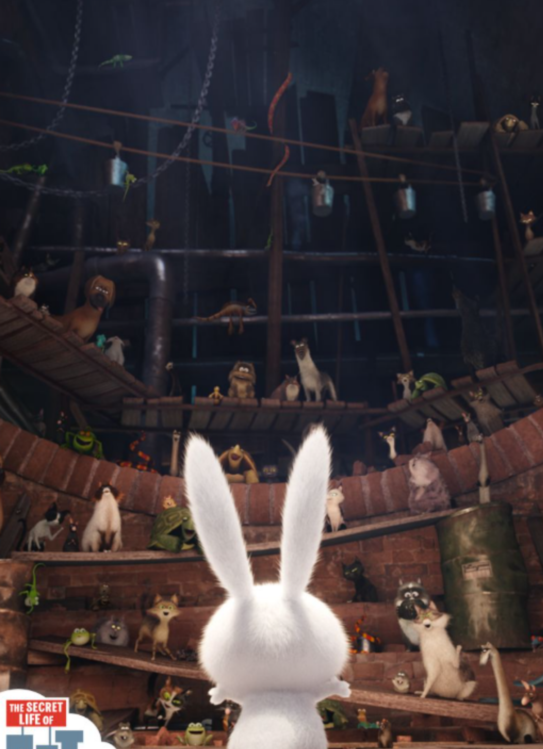 rabbit2.png