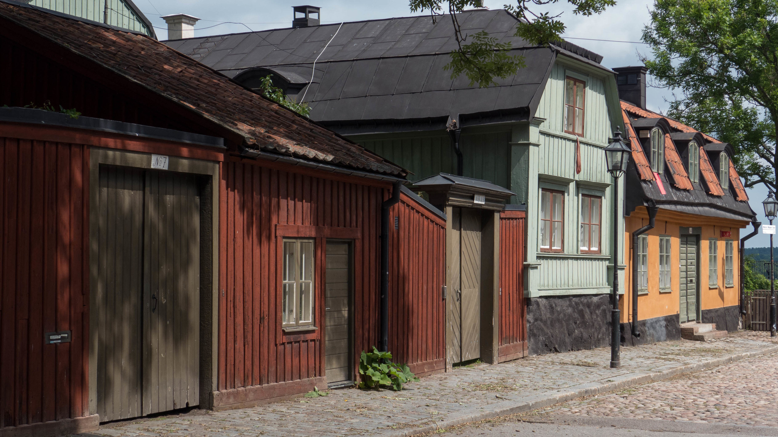L1000785.jpg