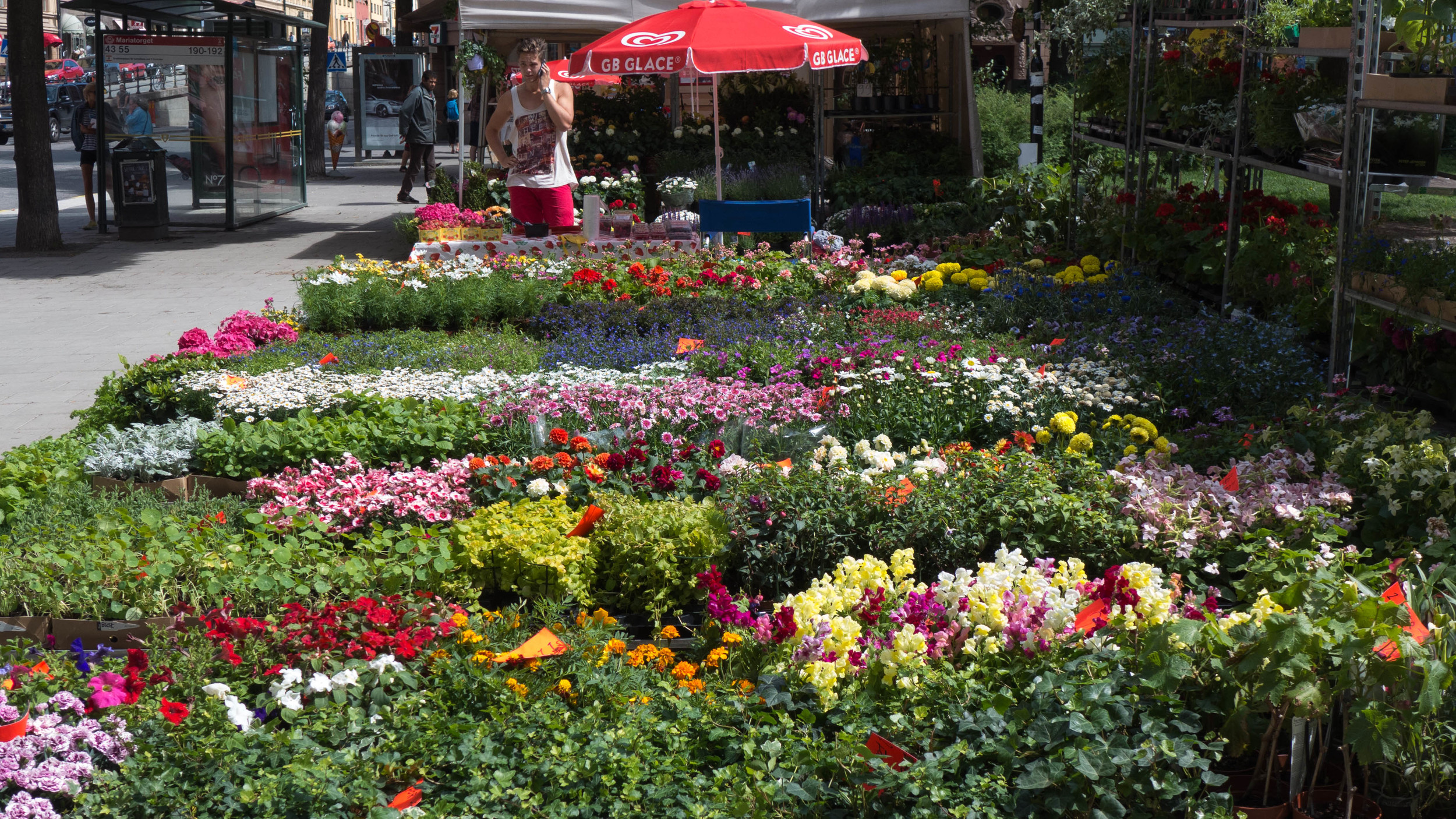 L1000748.jpg
