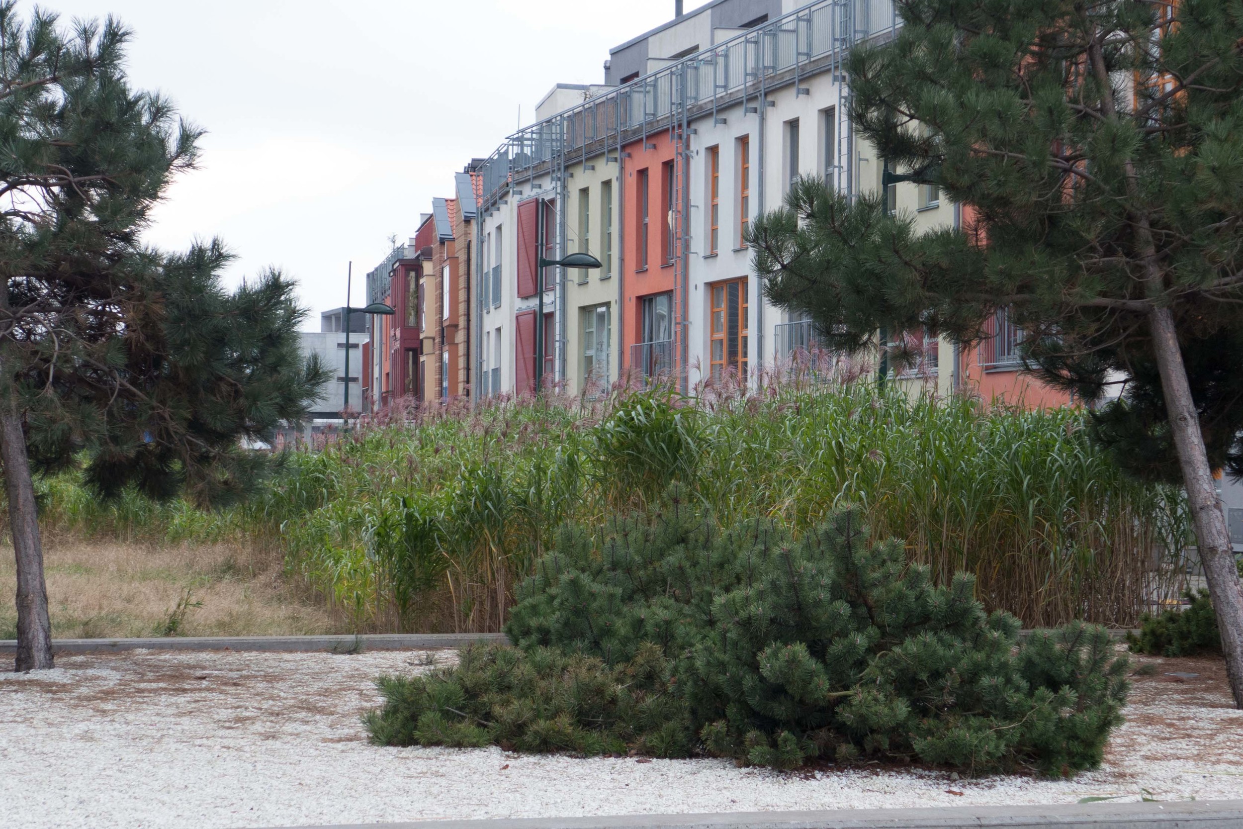 Malmo courtyard 3.jpg