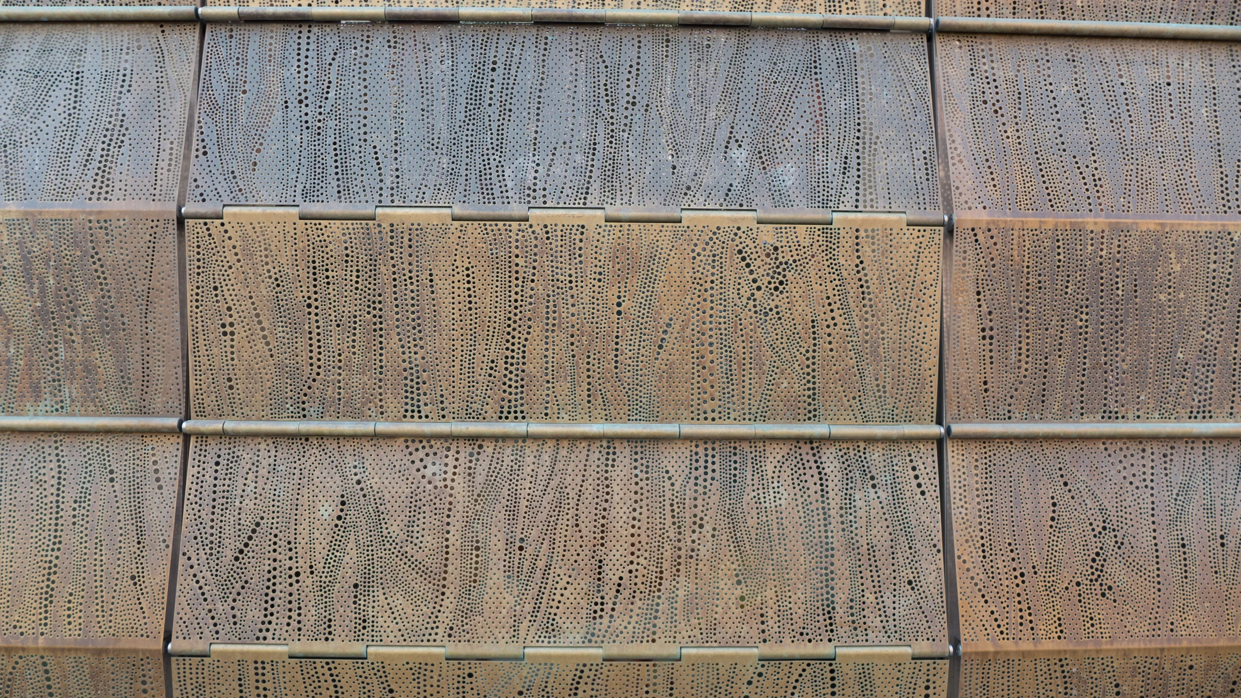 L1030584.jpg
