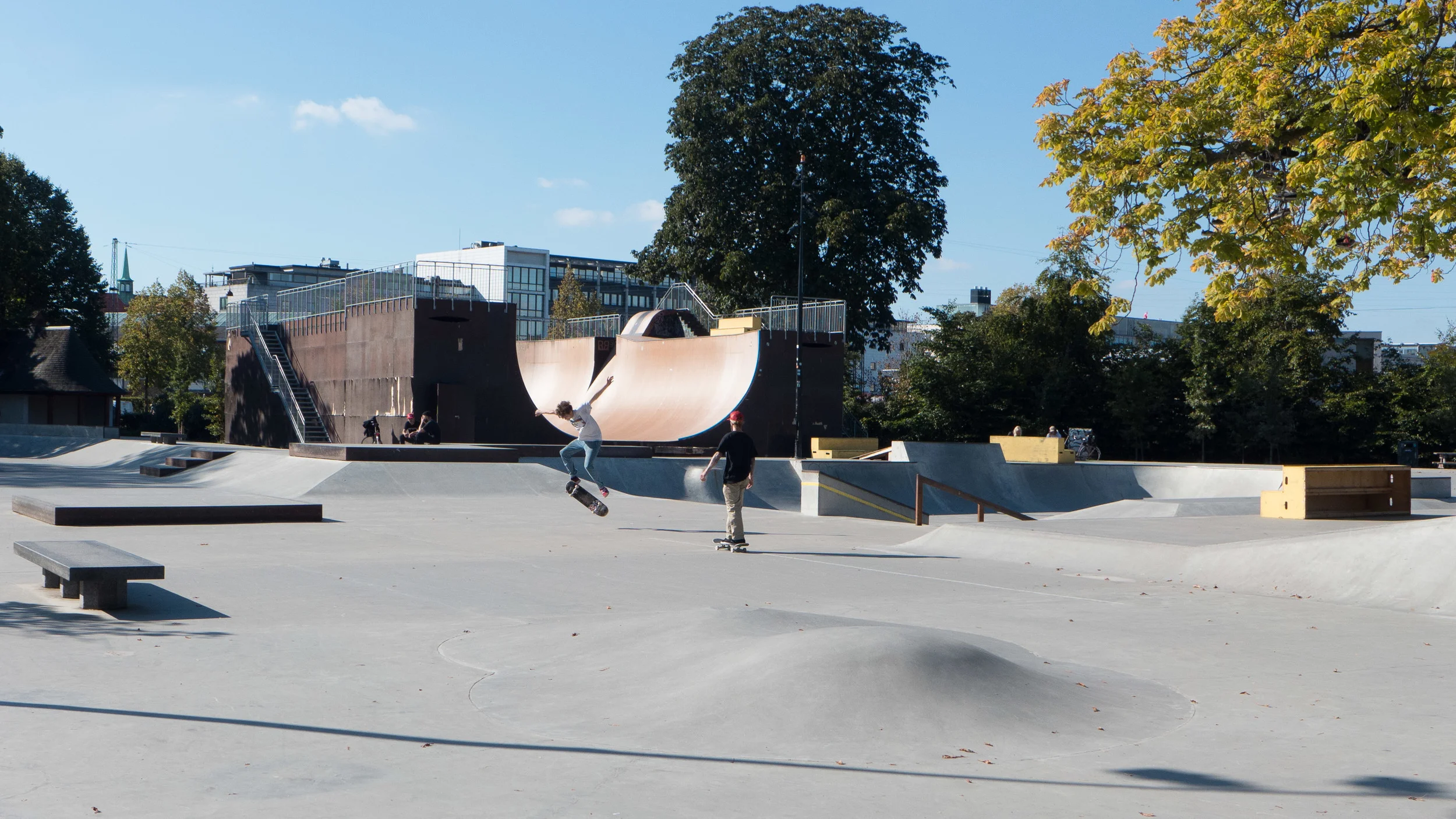 Skateboard park Fælledparken