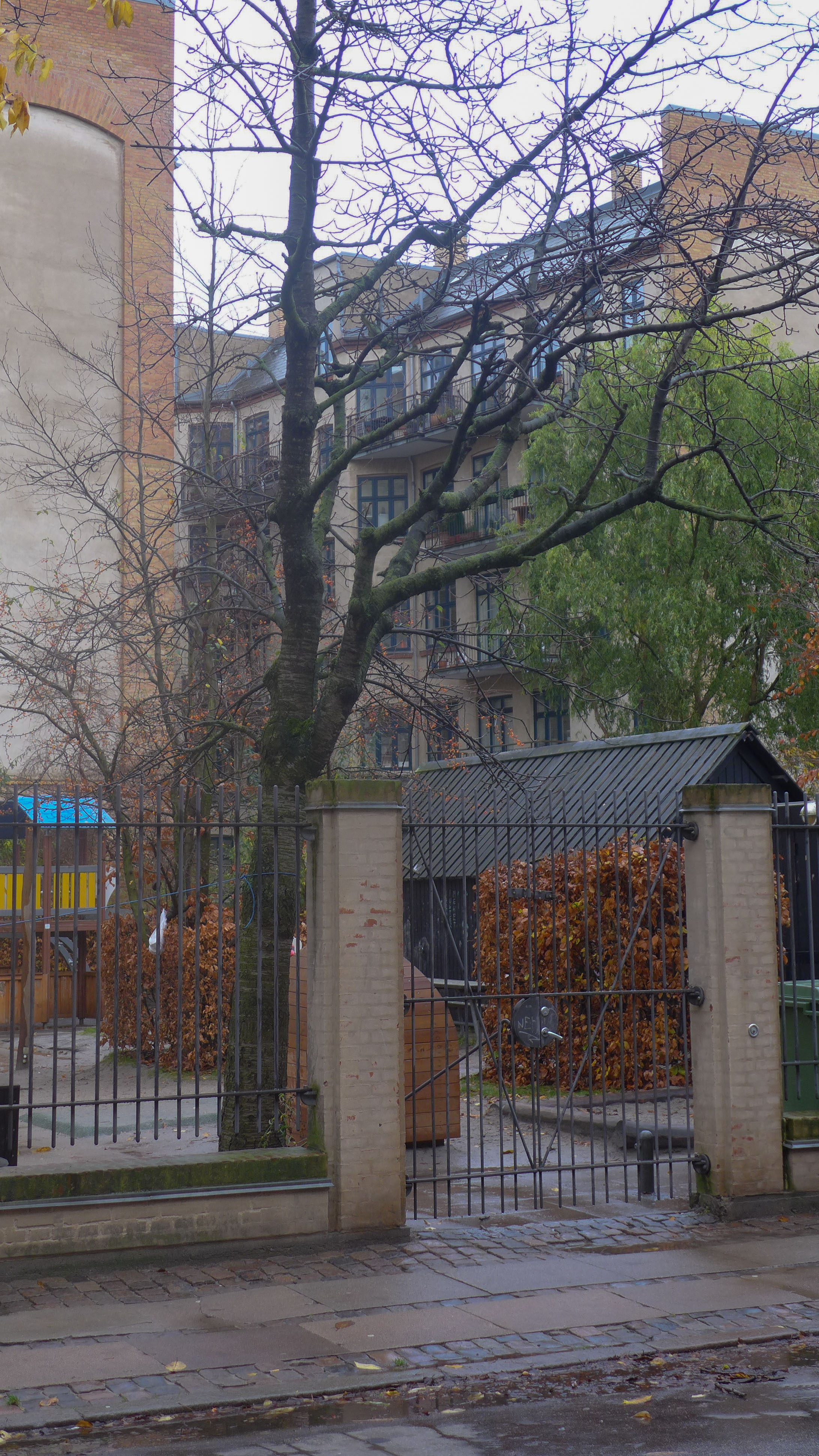 L1110103.jpg
