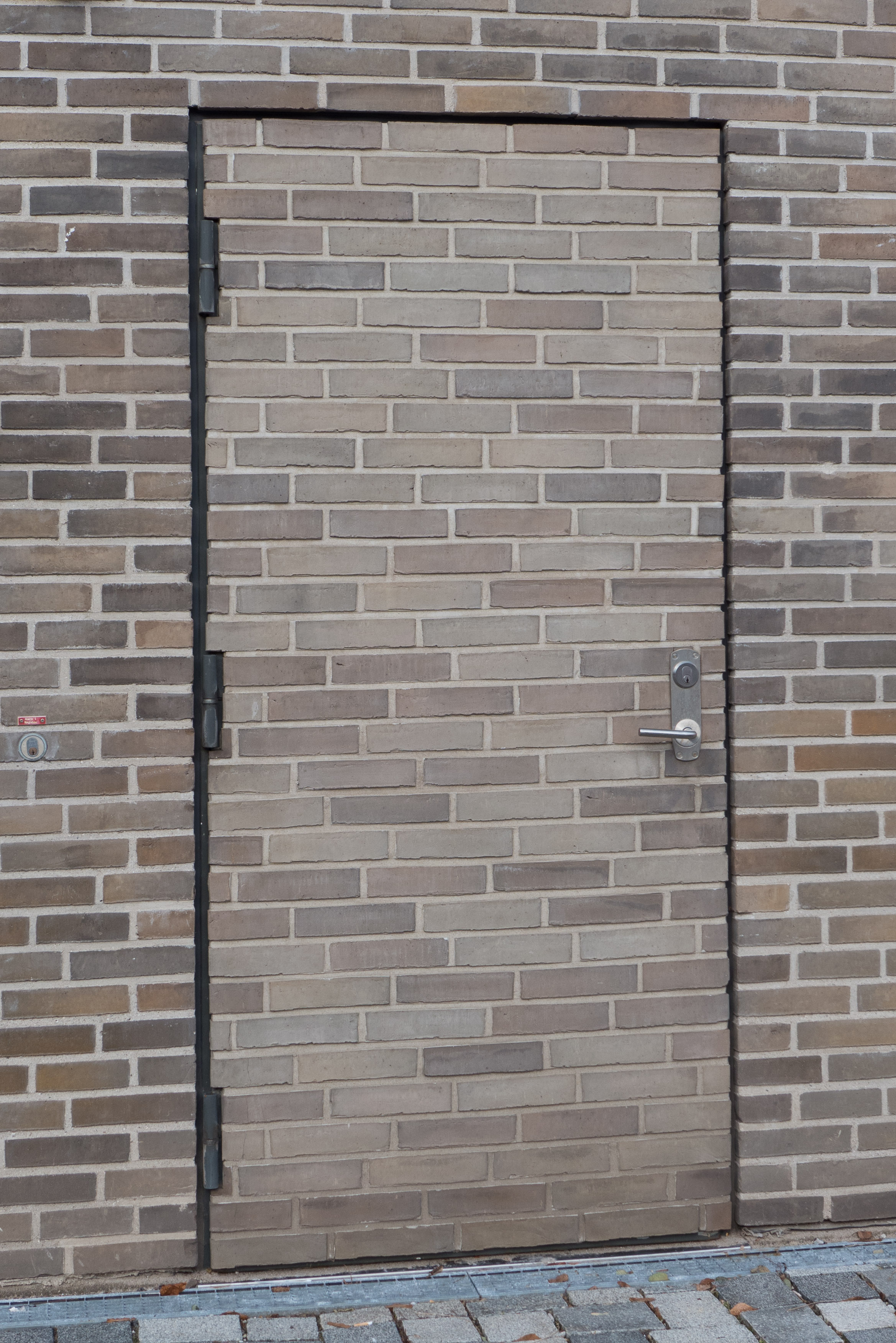 L1160526.jpg