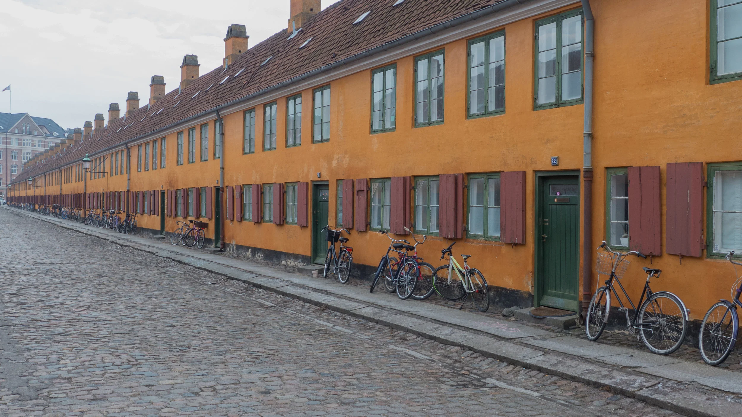 L1050960.jpg