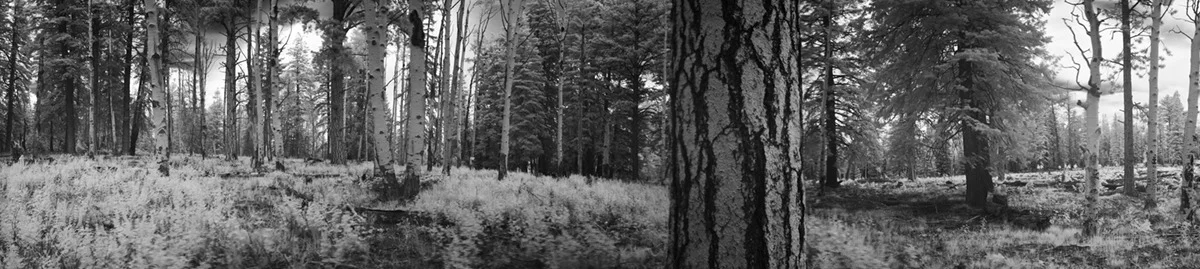 North Rim, Grand Canyon, 160º