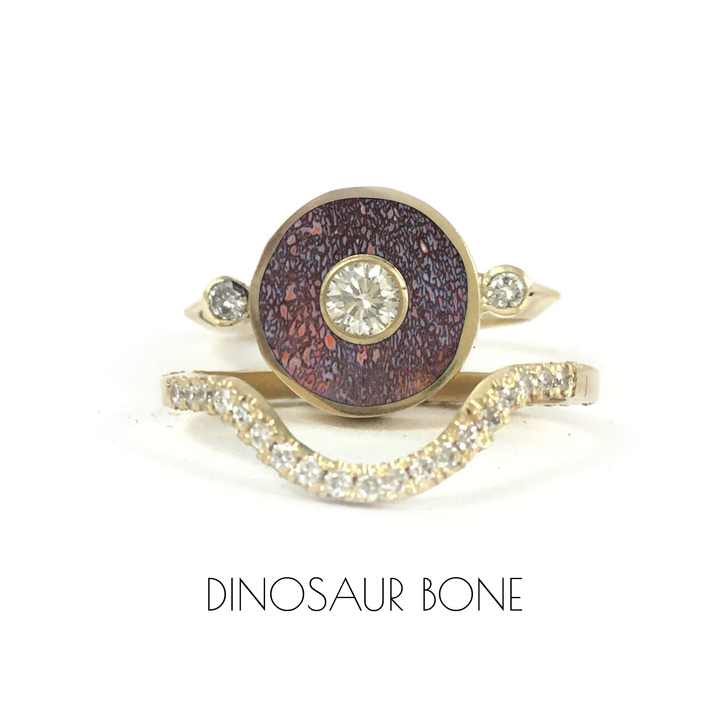 RING_9_DINO-01.png