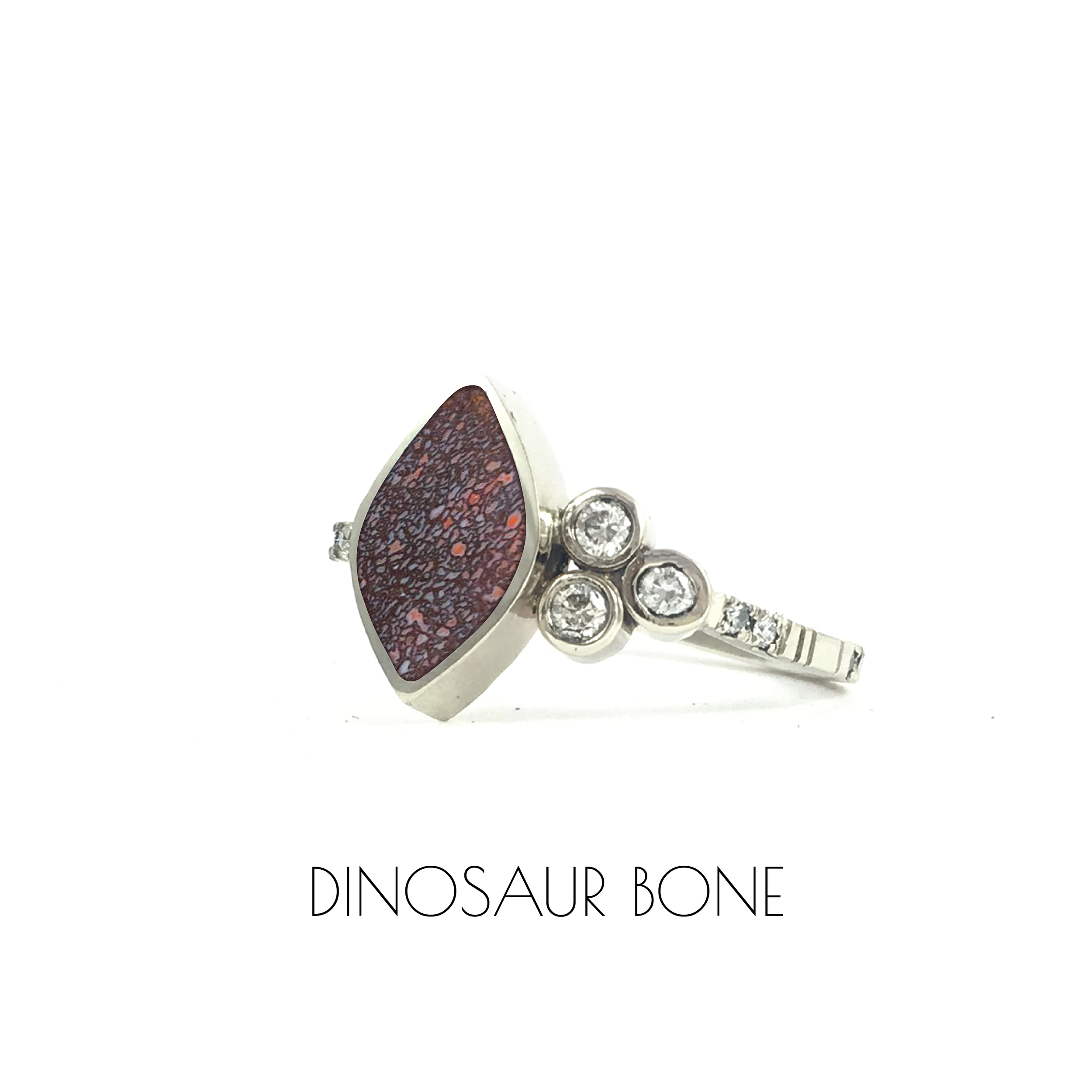 RING_14_DINO-01.png