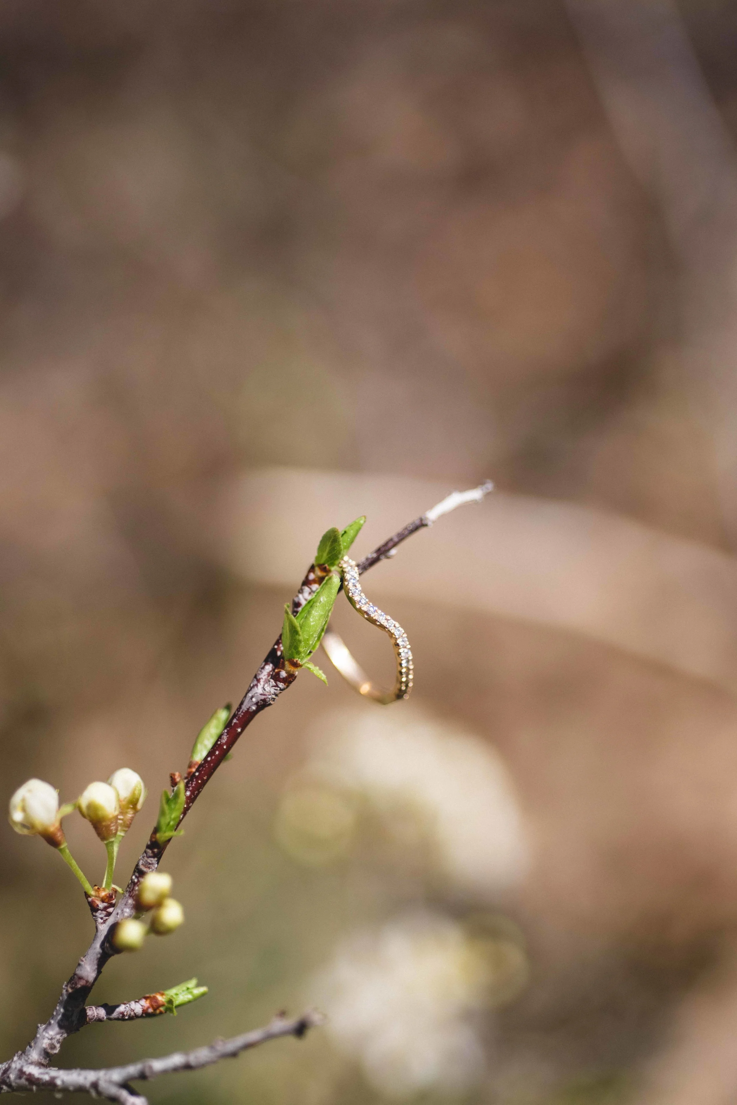 YITM_04.28.18-193.jpg