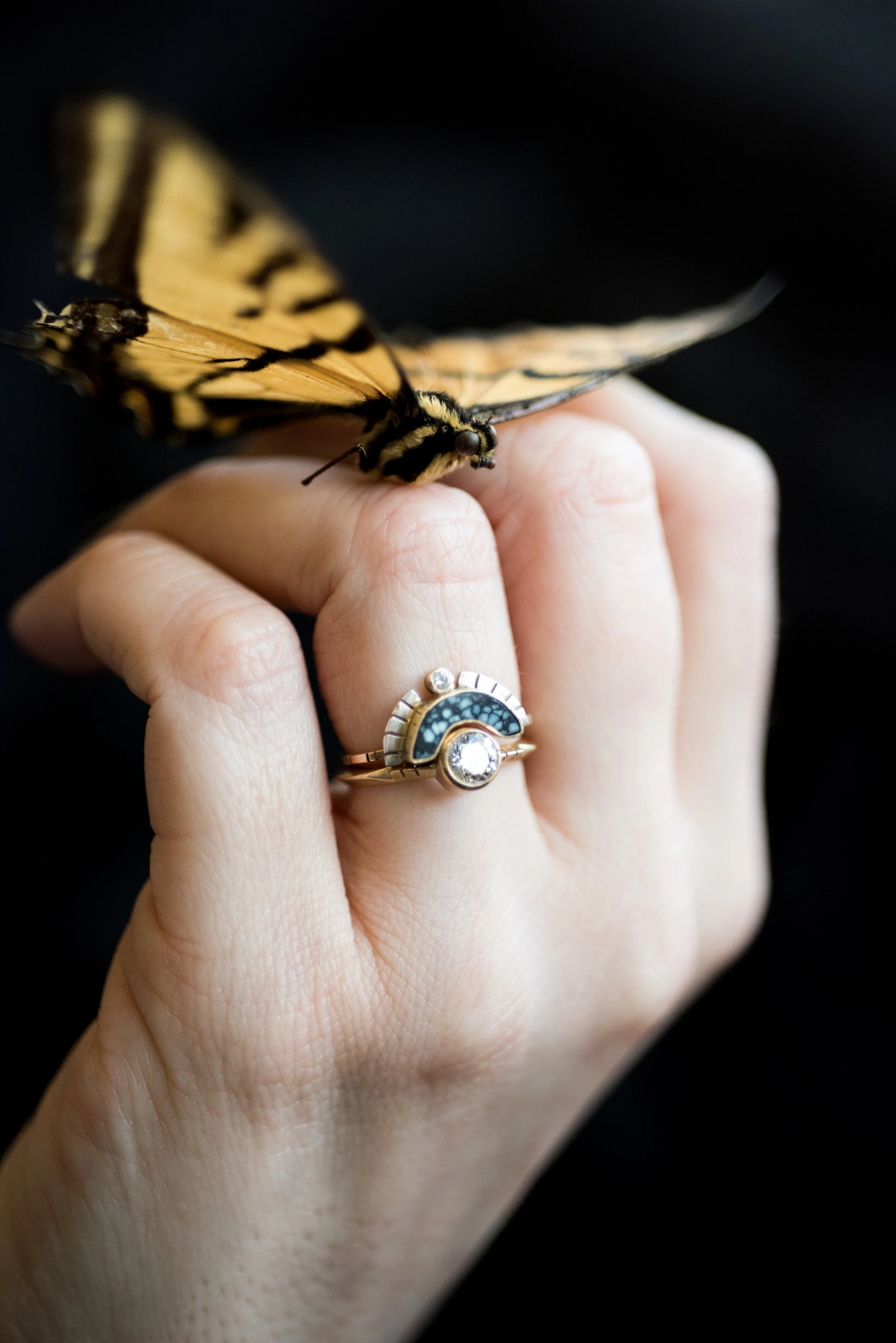 YITM_01.20.18-103.jpg