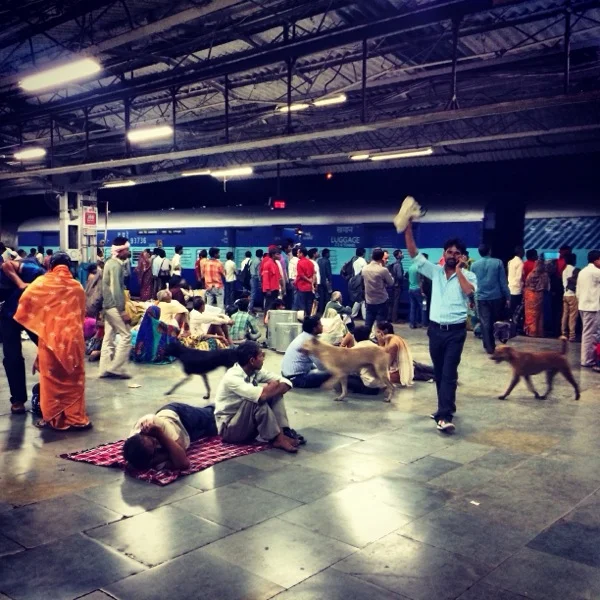 Train Station at 10:30pm filled with tons of people, cows, dogs & noise. 