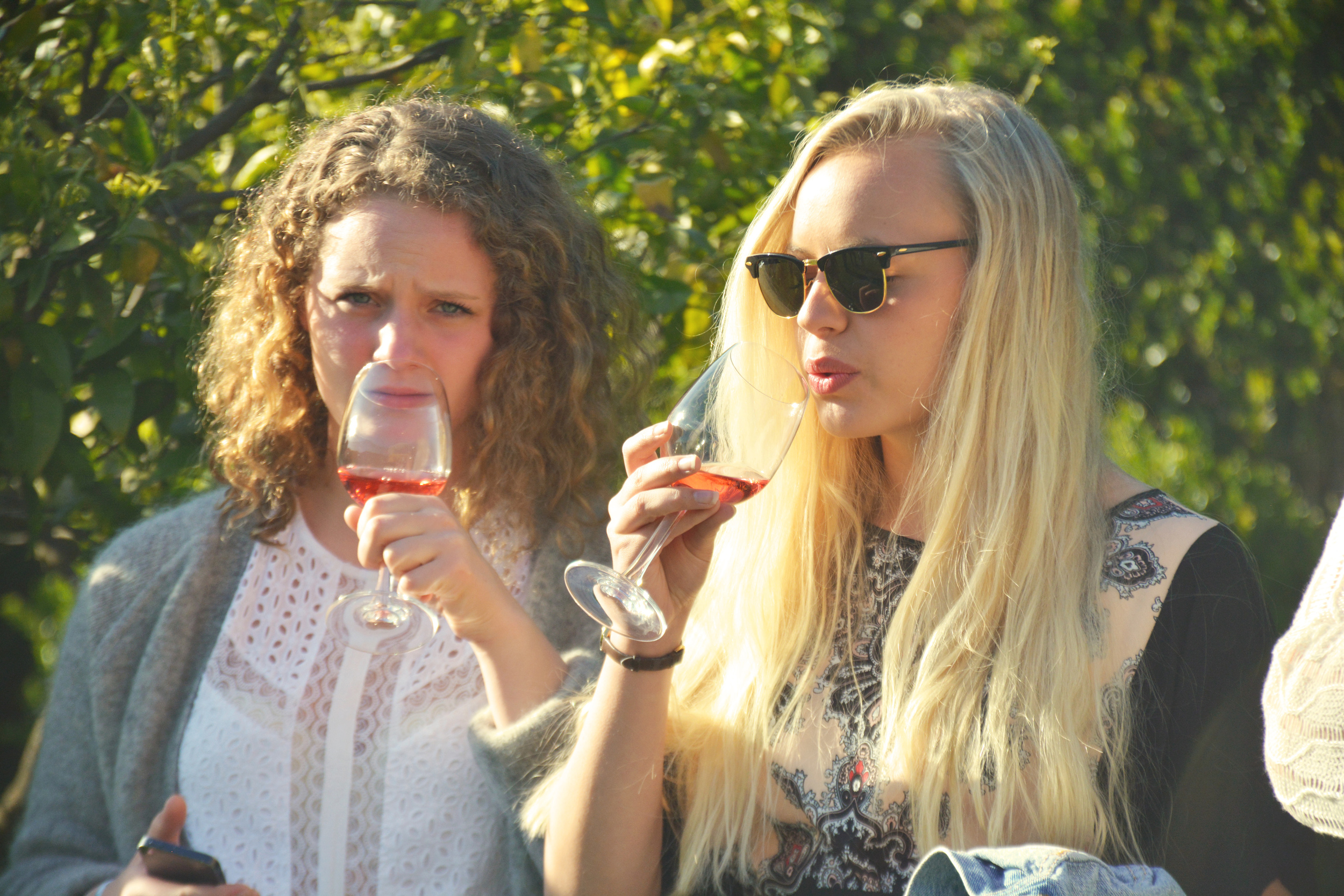 lapoint_winetasting_nikon_8.jpg