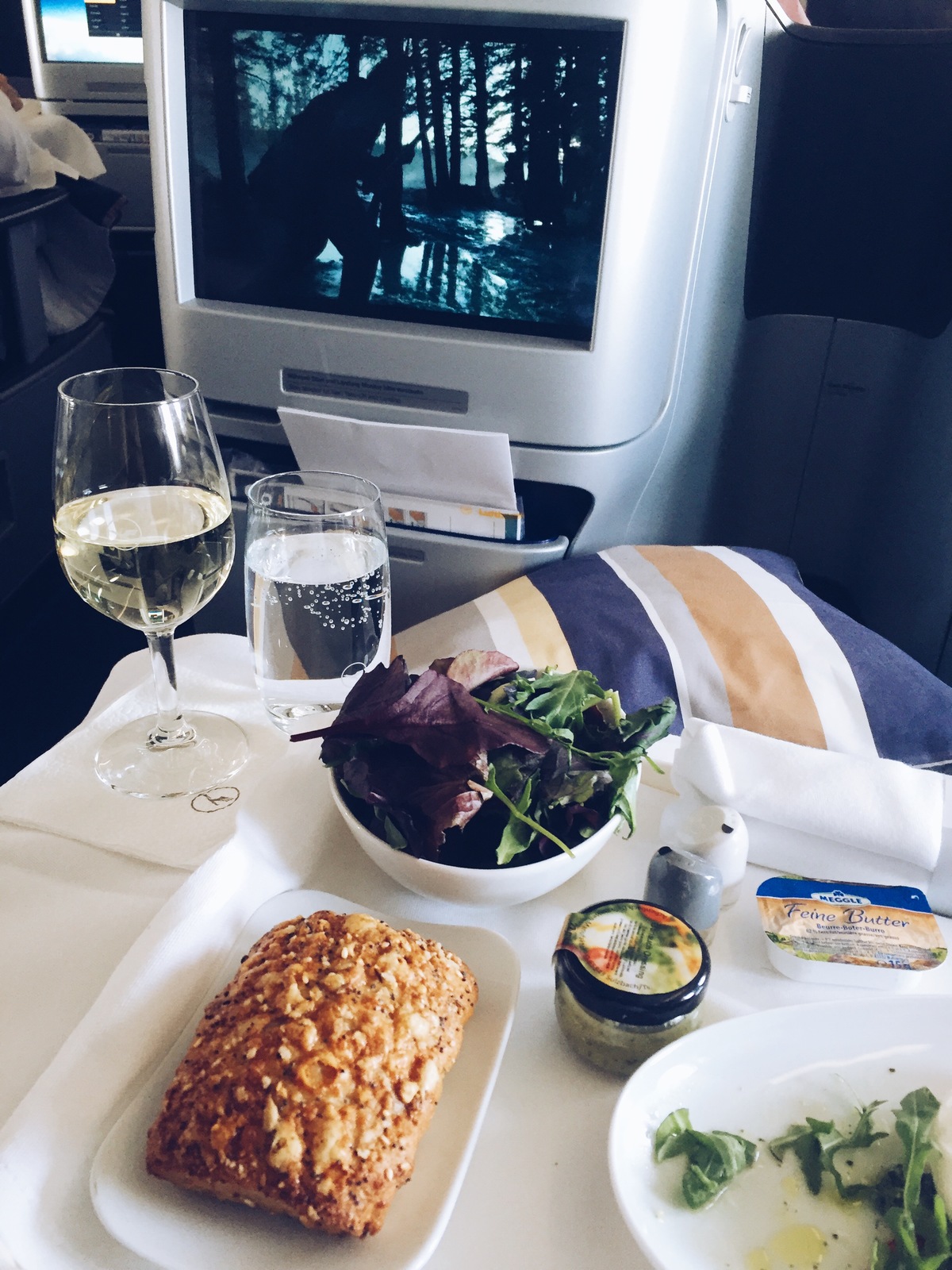 lufthansa busines class food .jpg