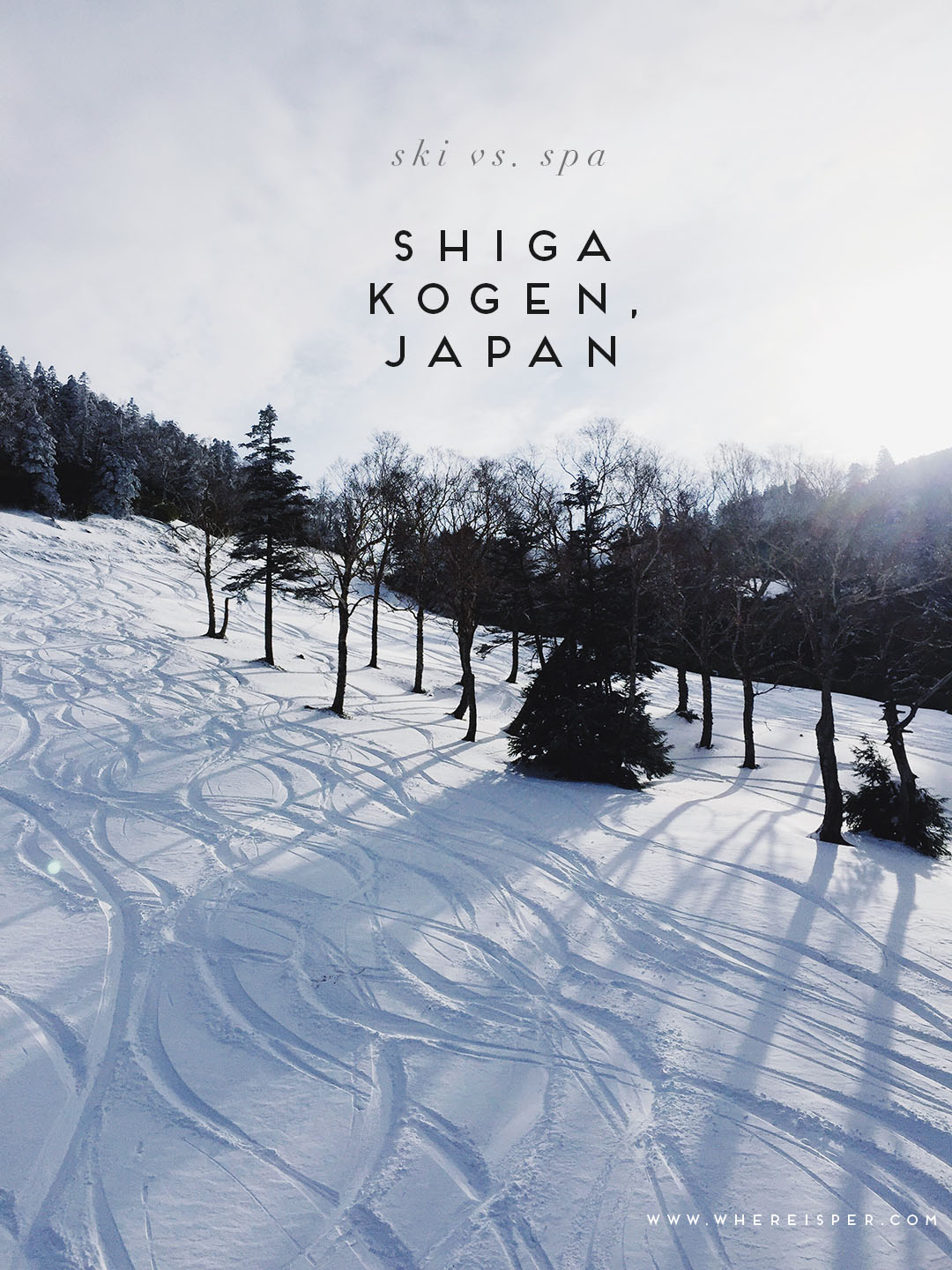 Skiing Shiga Kogen Japan 