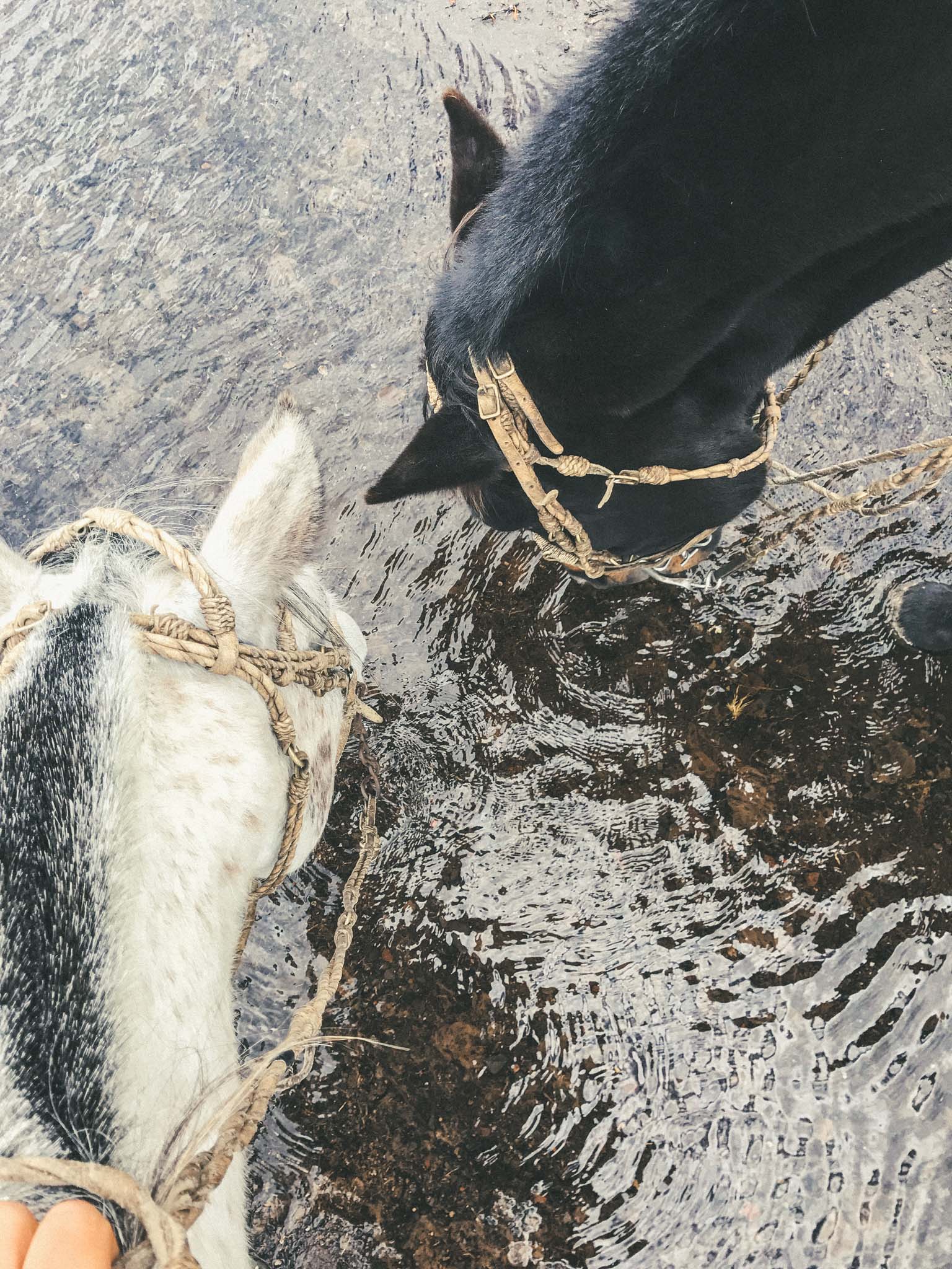 Ecuador_Horseriding-9393.jpg