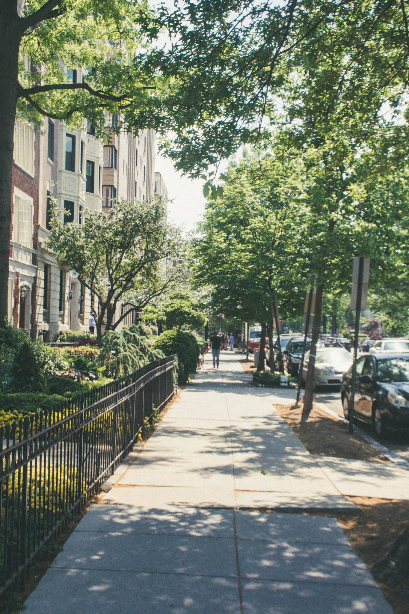 Kimpton_Carlyle_Perri_Rothenberg-34.jpg