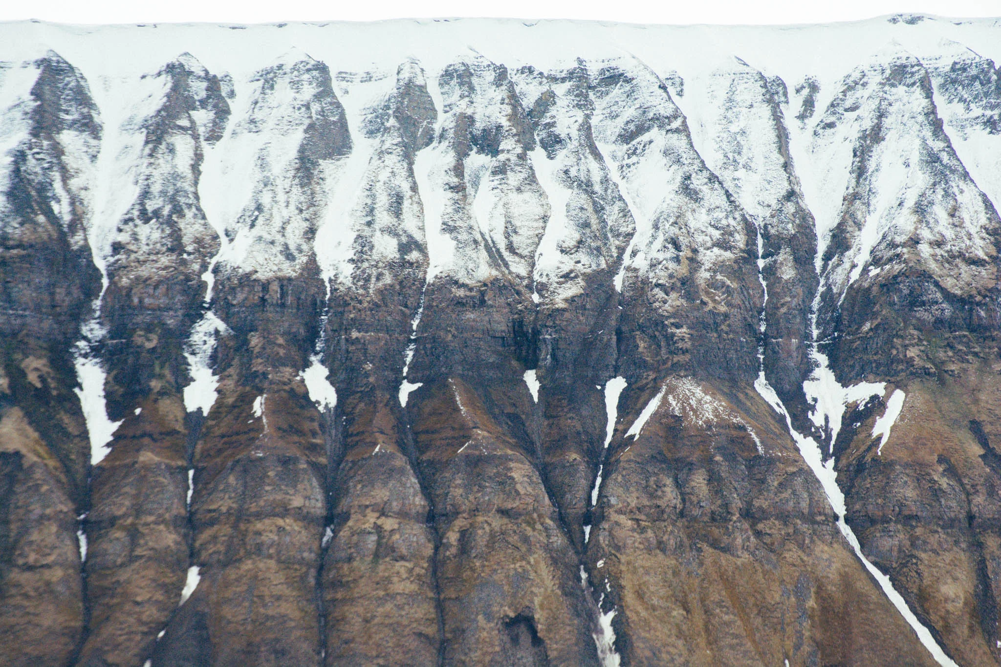 Svalbard_2018_Pukka_Perri_Rothenberg-4.jpg