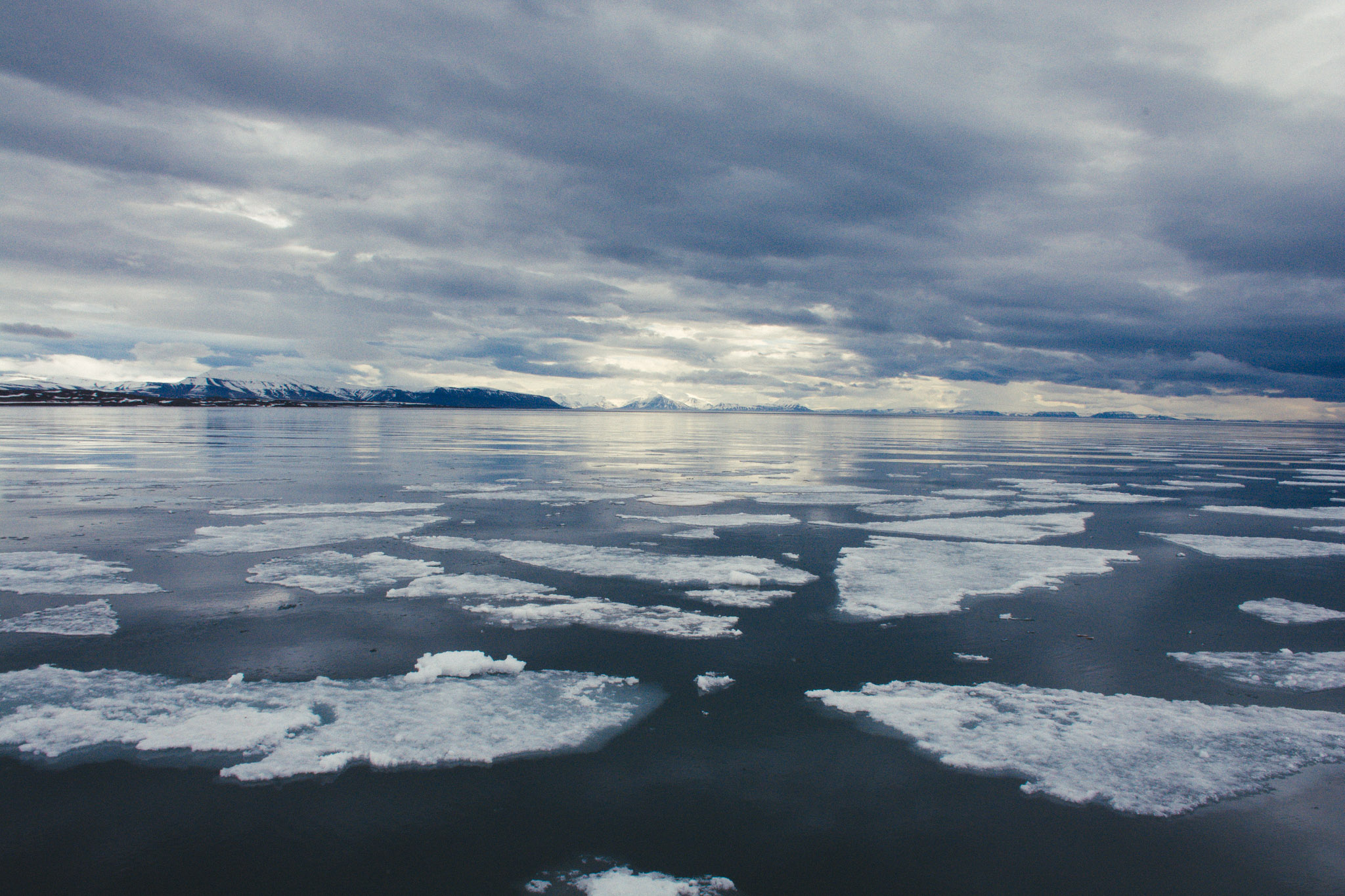 Svalbard_2018_Pukka_Perri_Rothenberg-62.jpg