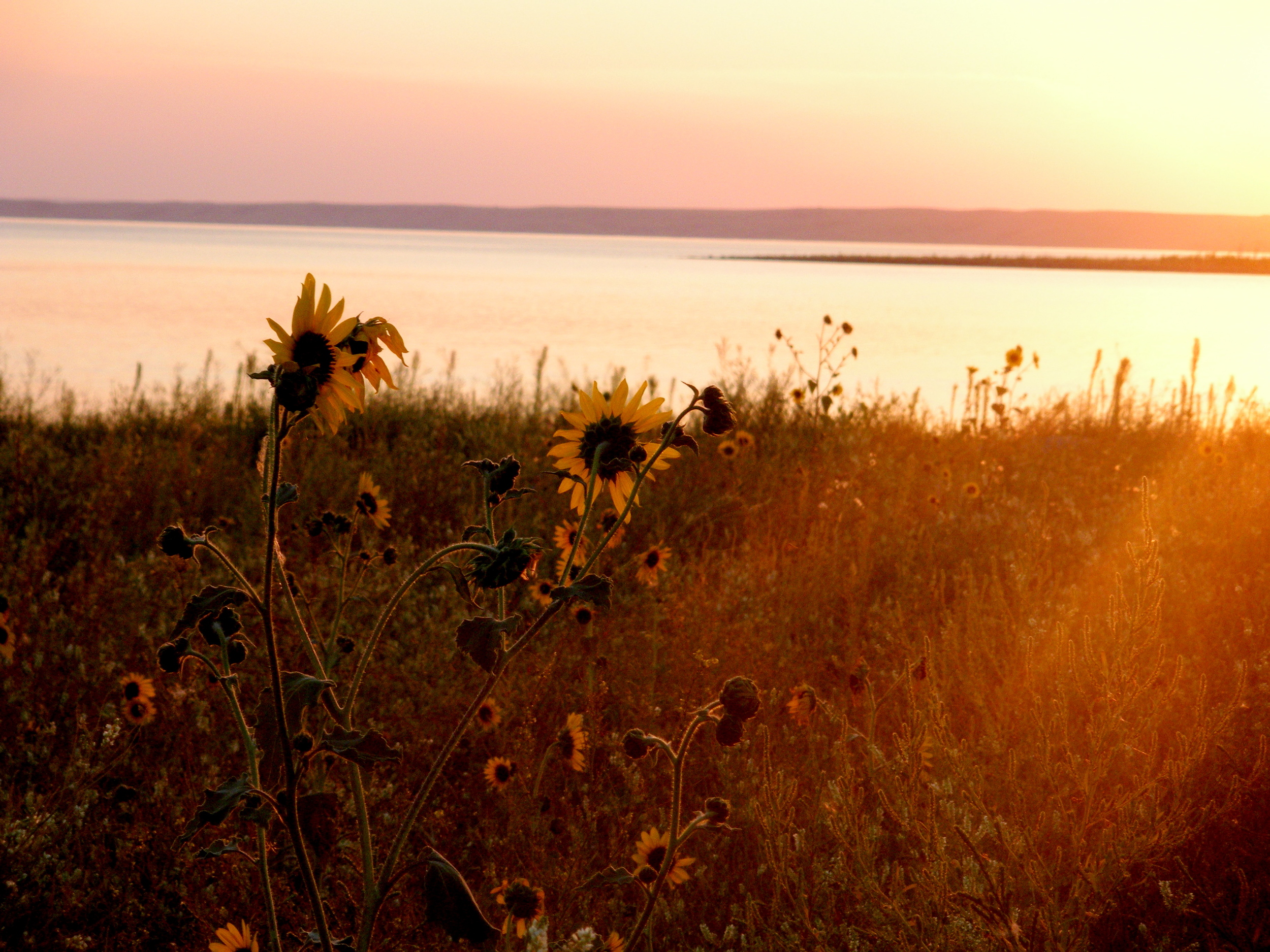 One last glimpse of the Missouri River on a beautiful evening. (August 2013, A. Gross) 