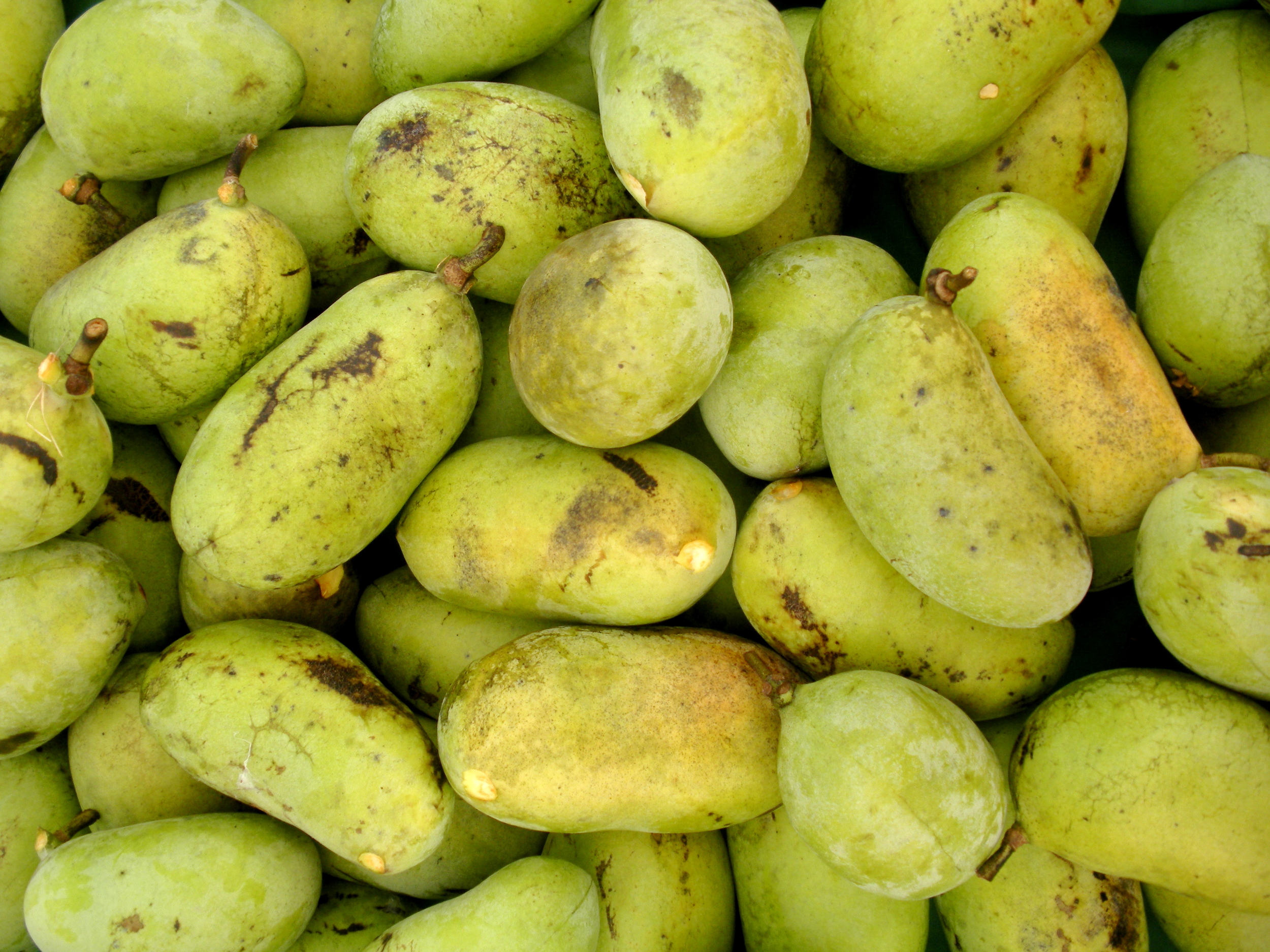 Pawpaws