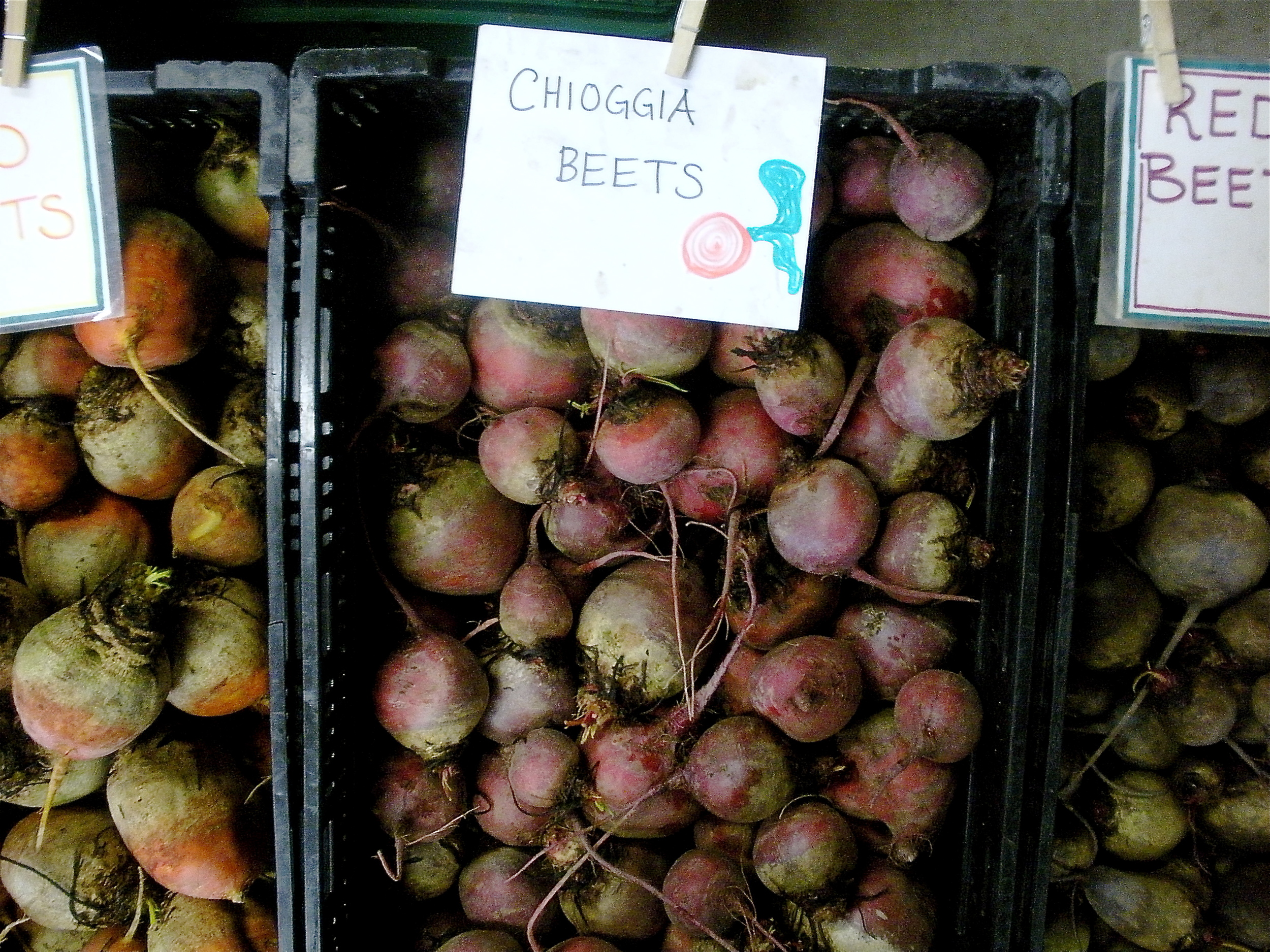 Beets