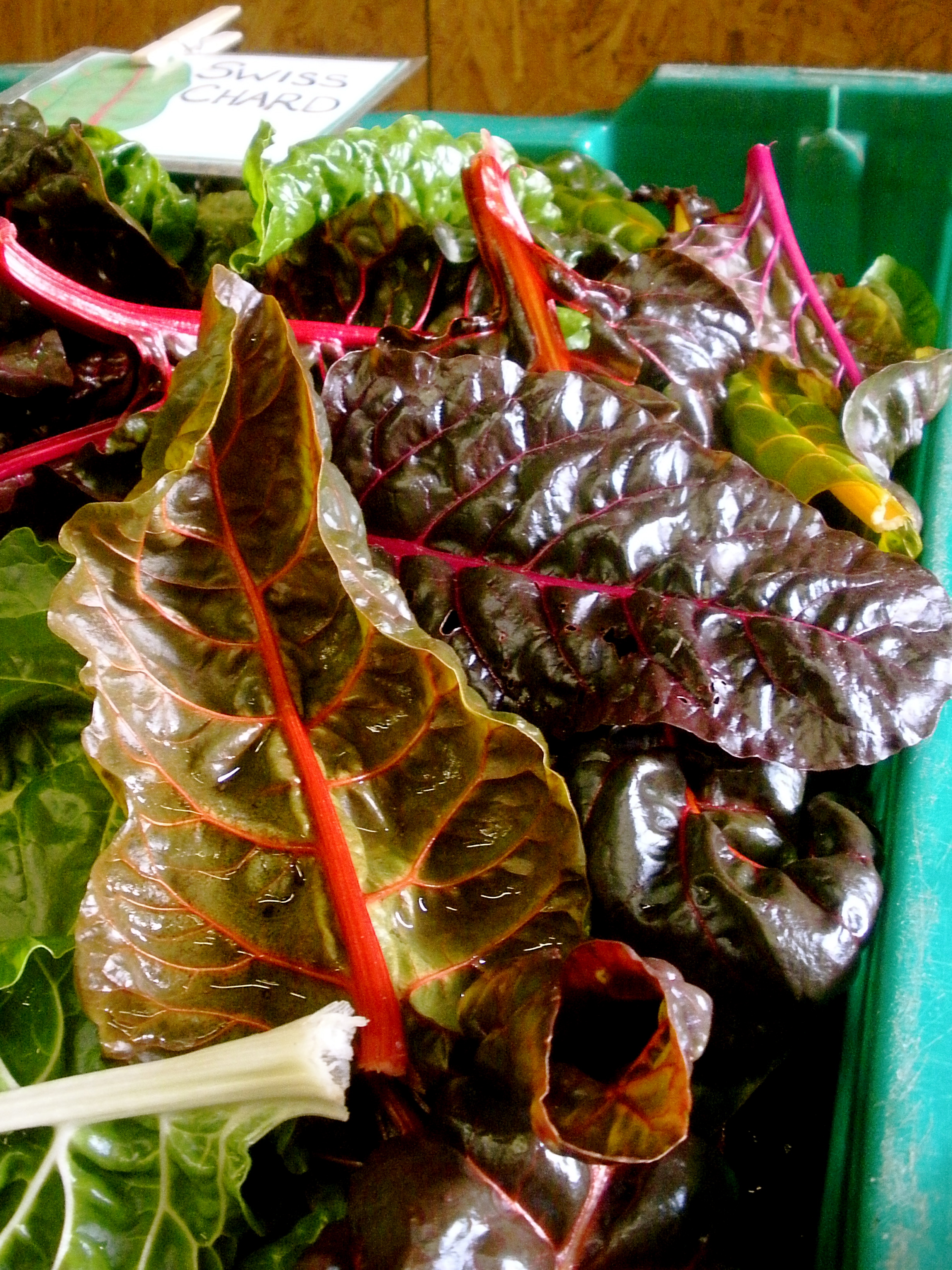 Chard! (Fort Hill Farm, November 2013)