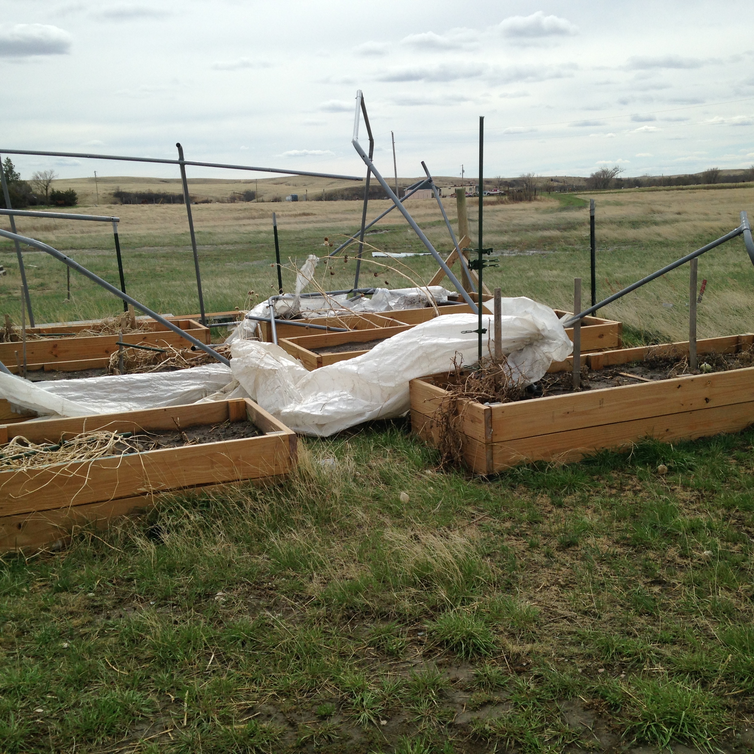 The shredded greenhouse tents in April. (April 2014, A.Gross)