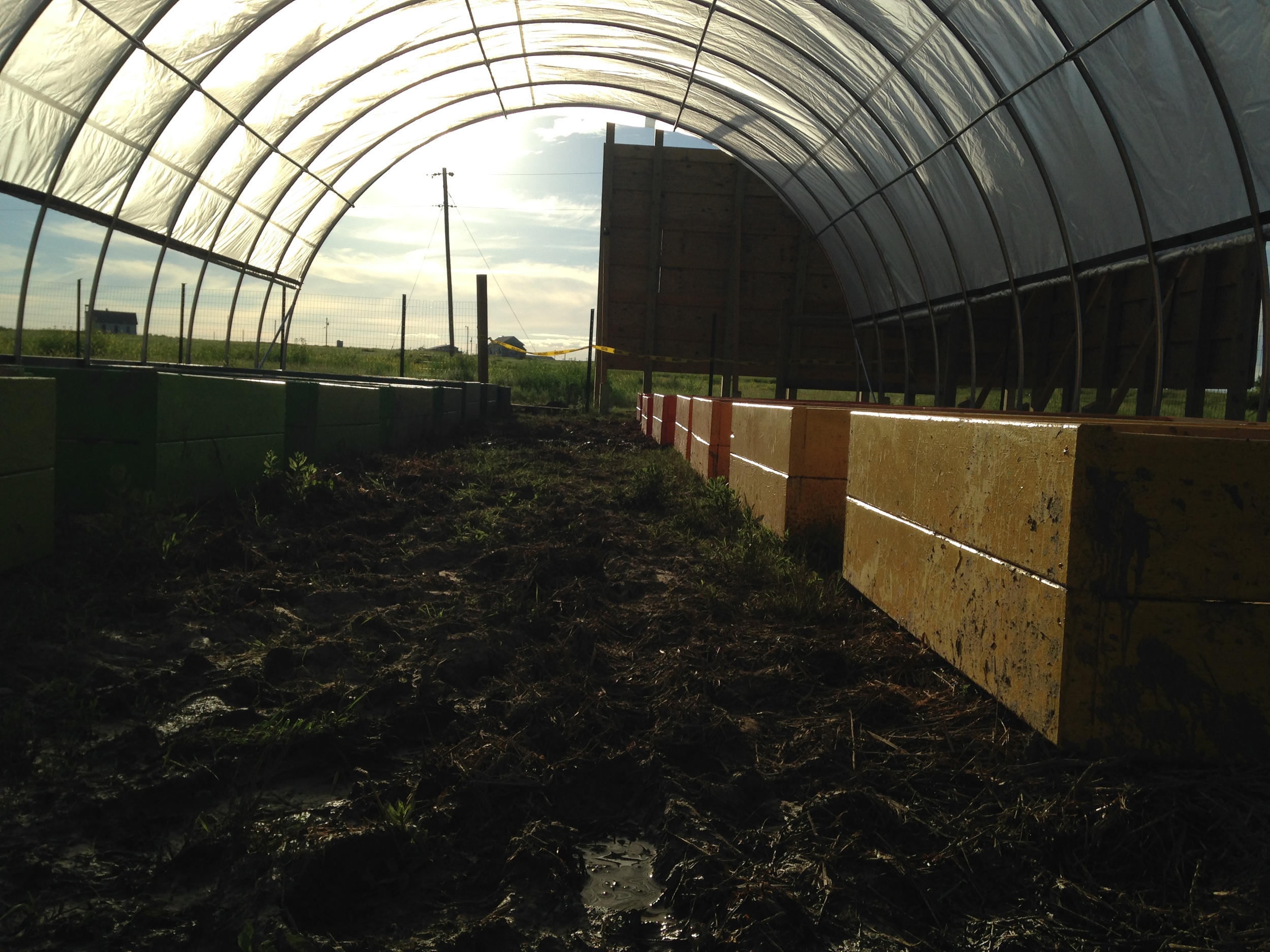 The high tunnel at sunset, with the new, colorful raised beds! (June 2014, A. Gross)