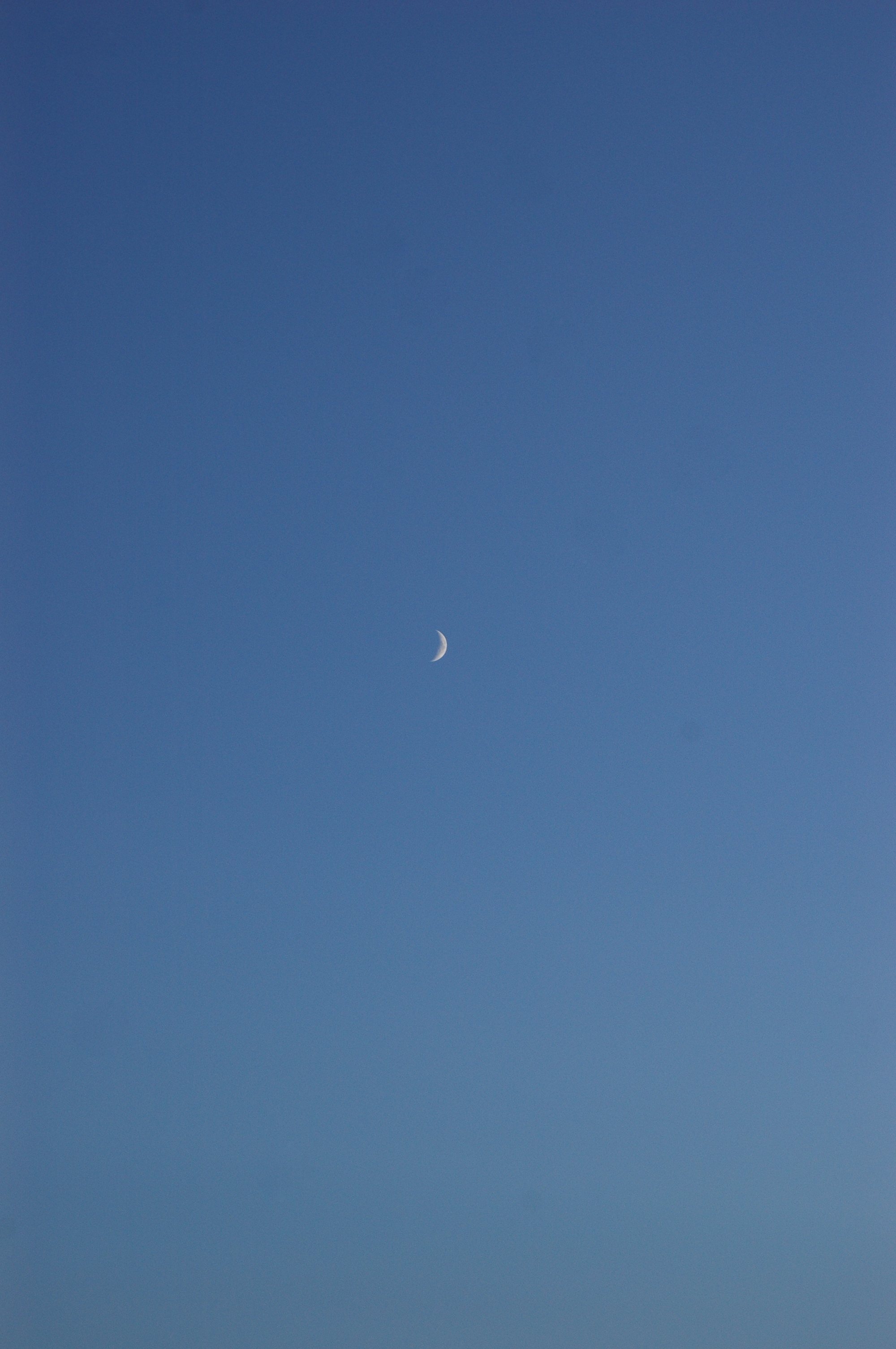 DSC_0121.jpg