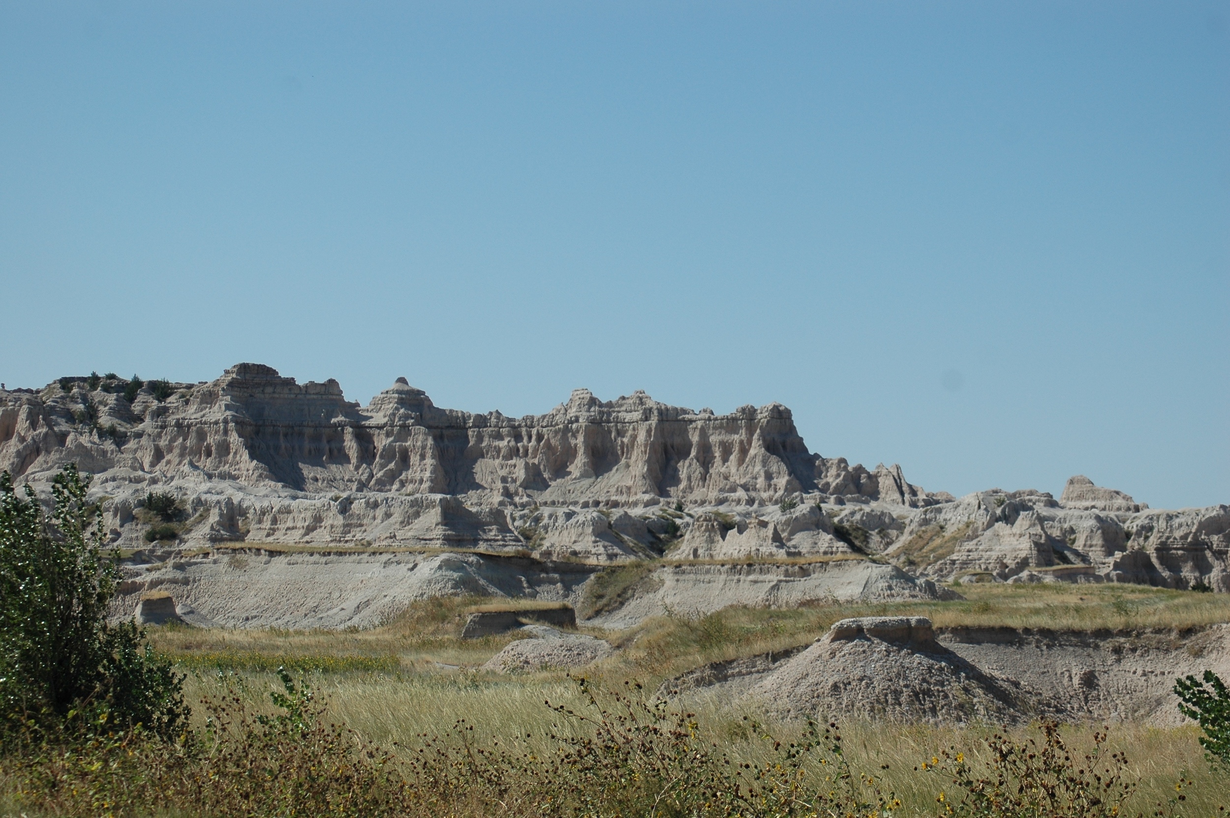 DSC_0039.jpg