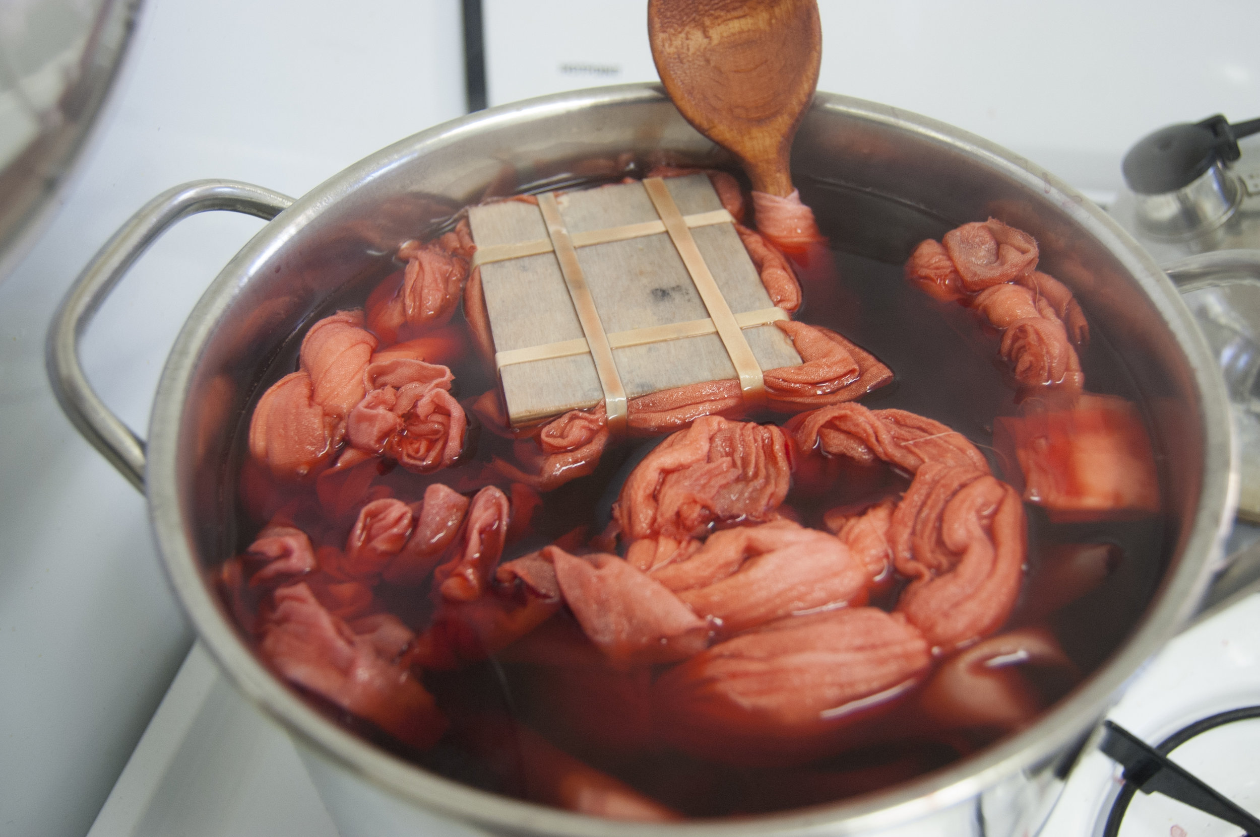 Pokeberry dye (photo by Bailey Raha)