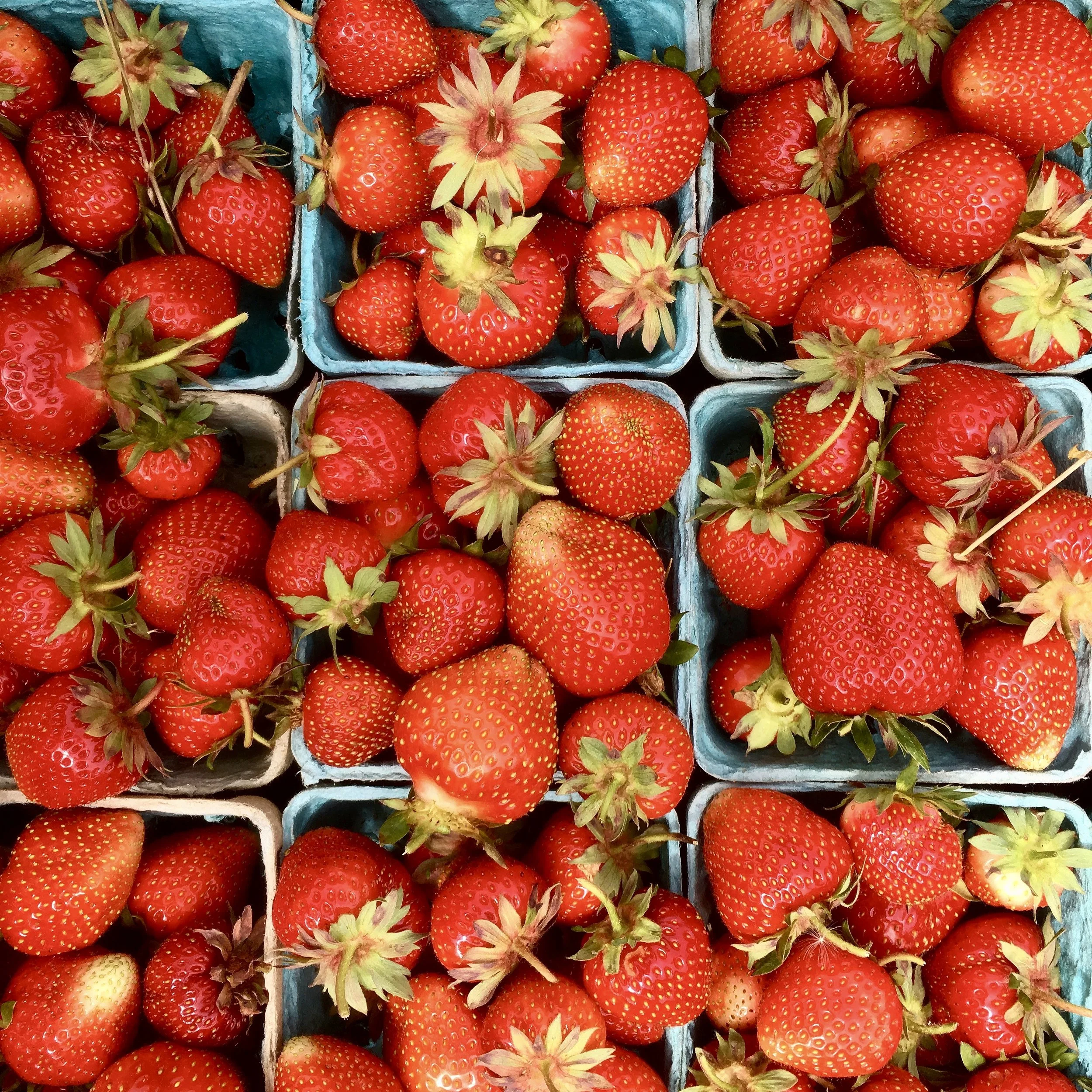 Strawberries in pints, June 2017 (A.Gross)