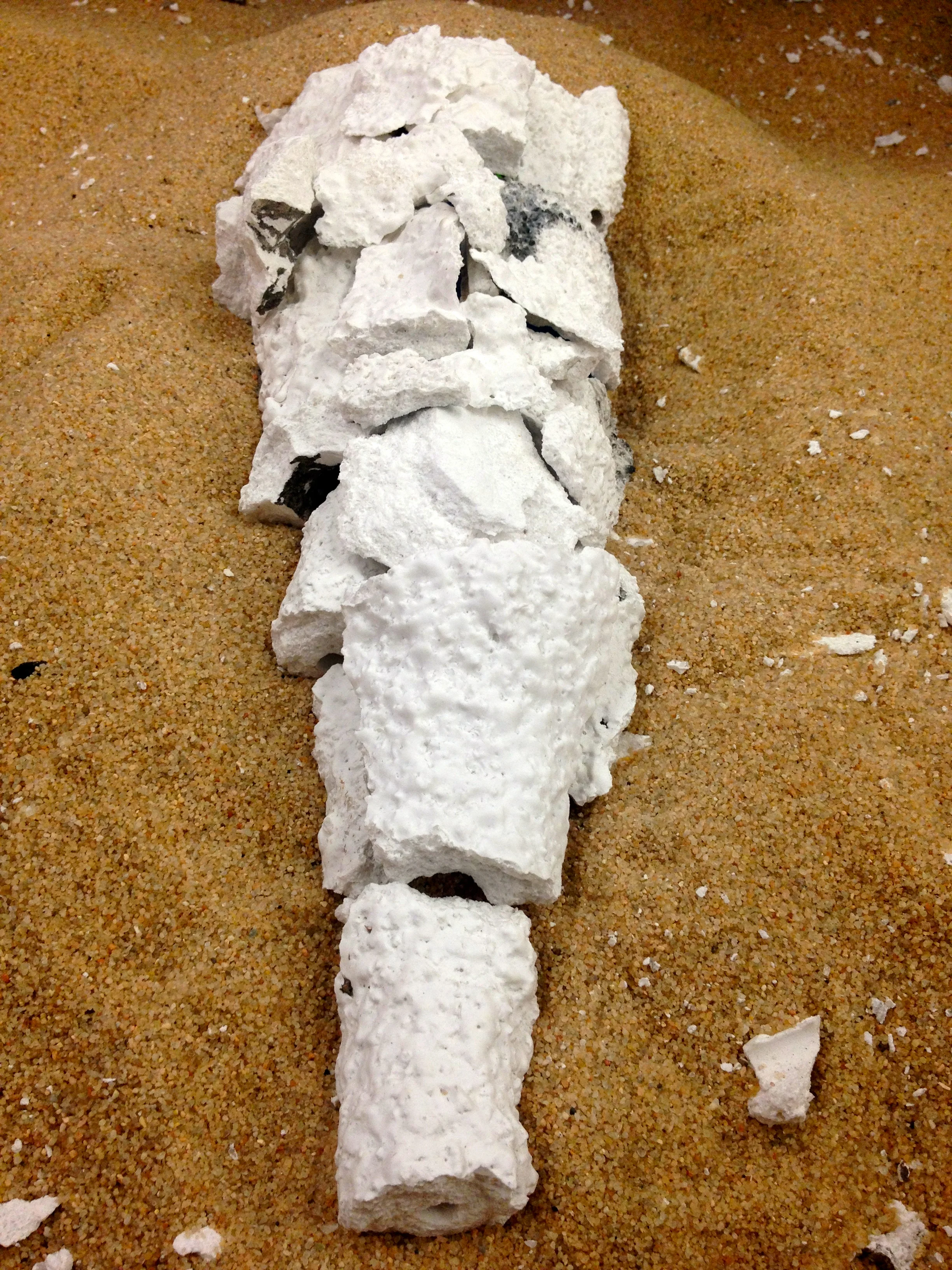 IMG_1618 - Version 2.jpg