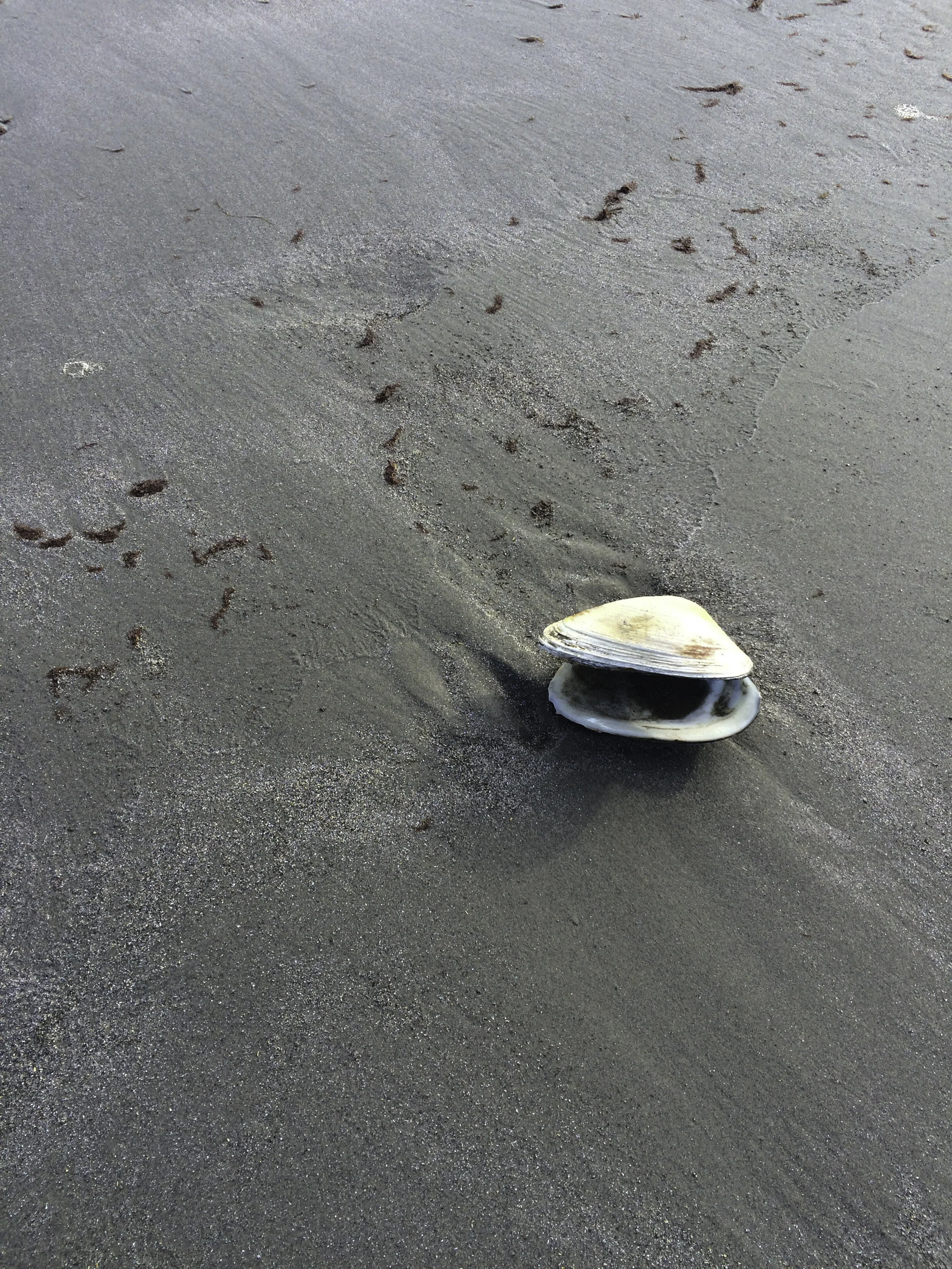 NafisWhiteLunarBeaches-3.jpg