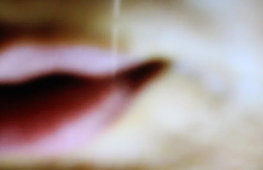 ButterflyEffect2 copy.jpg