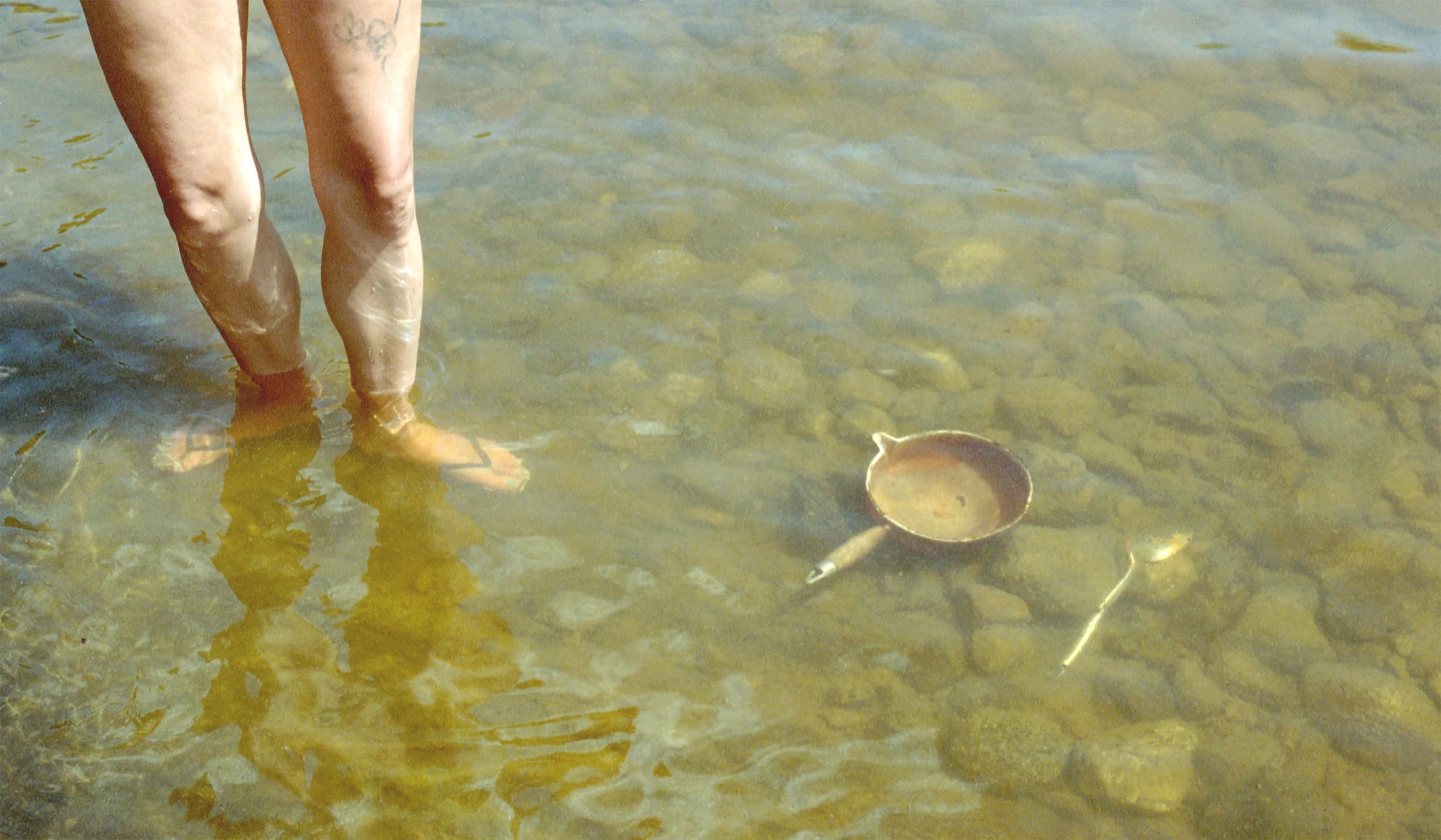 After Shore Lunch, 2018