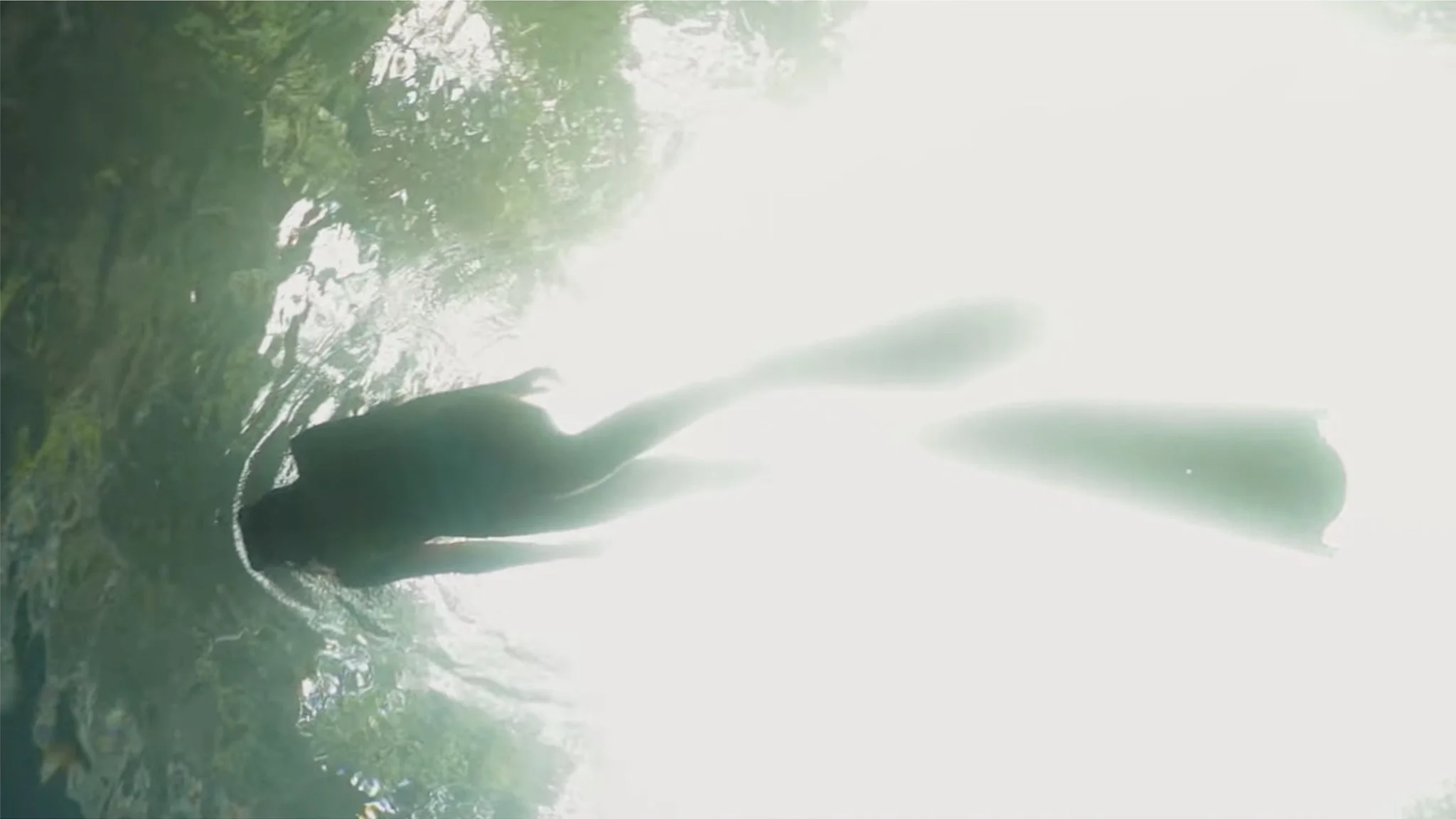 Screen Shot 2018-03-15 at 2.54.36 AM.jpeg