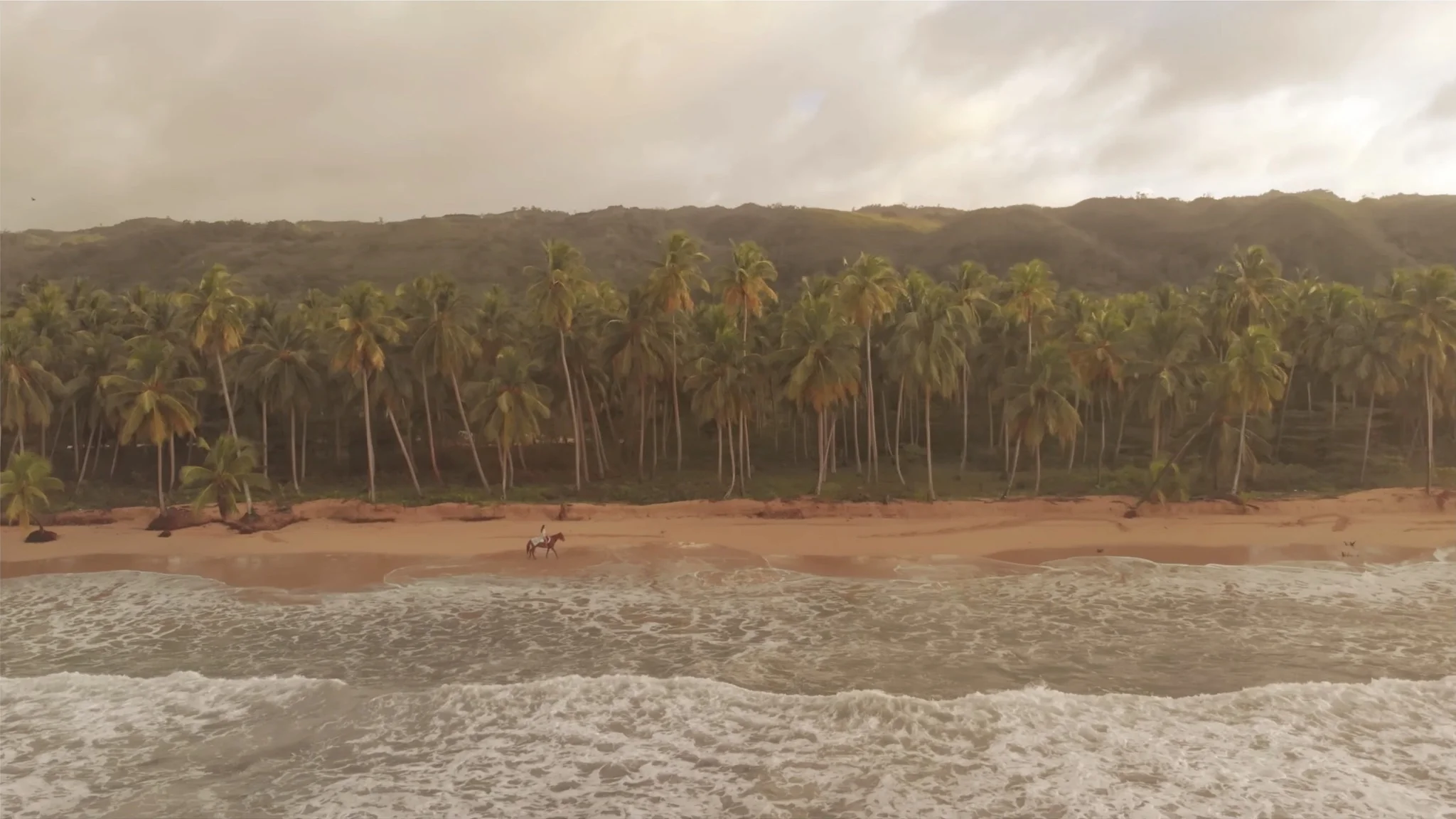 Screen Shot 2018-03-15 at 2.57.47 AM.jpeg