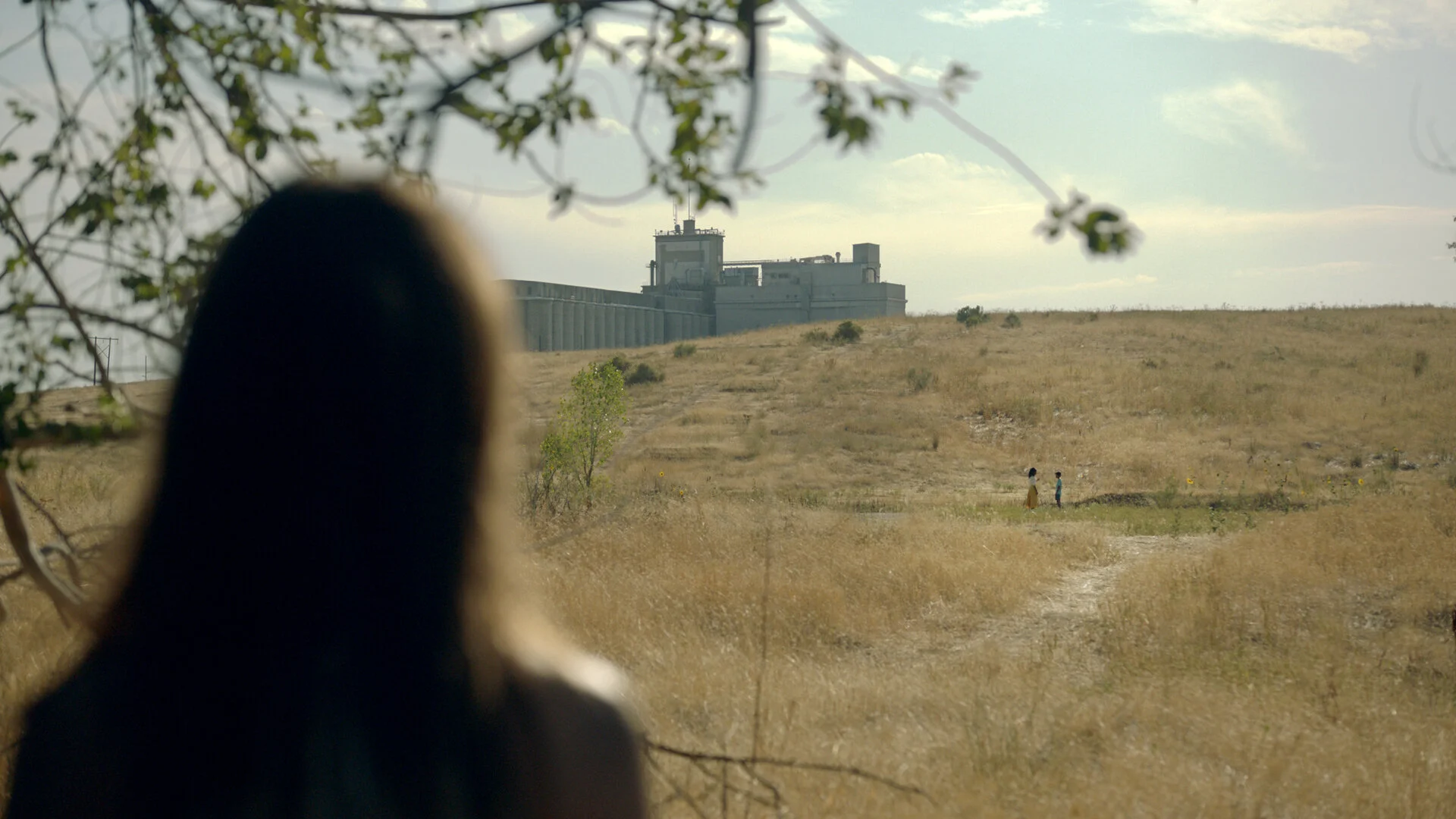 Girl in Field.jpg