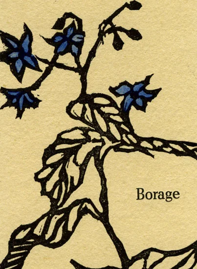 web_boragecard_back.jpg