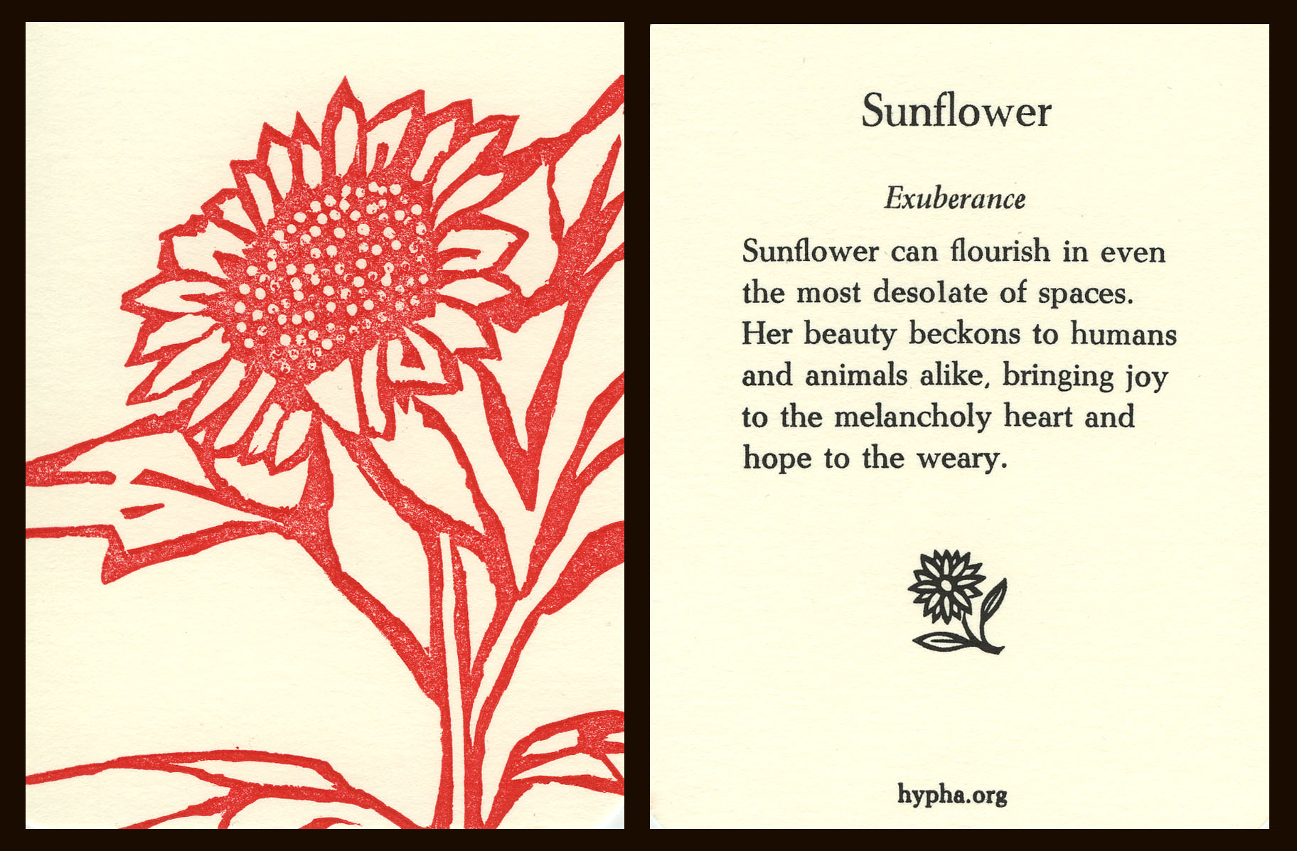sunflowercard.jpg
