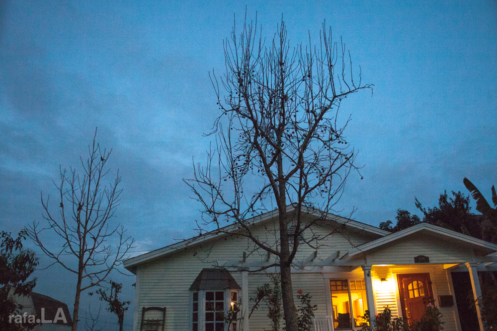 Storm Watch January 26, 2014 - University HIlls